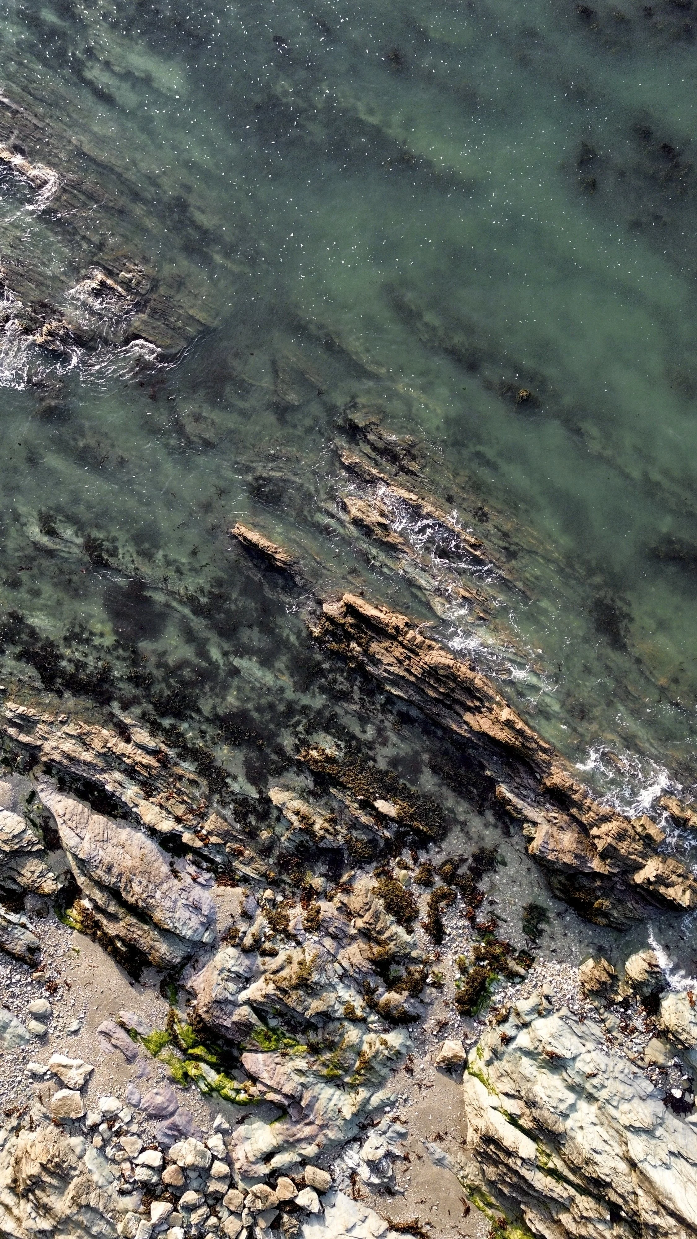 Aerial view of rocky shoreline with some areas covered in green moss, ocean waves, and pebbly beach.