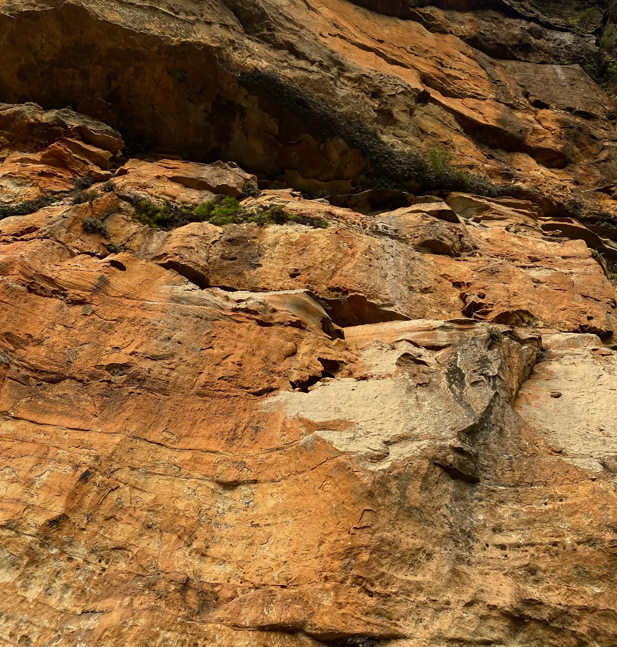 Close-up of a reddish-brown rocky cliff face with patches of green moss and small plants growing between the rocks.