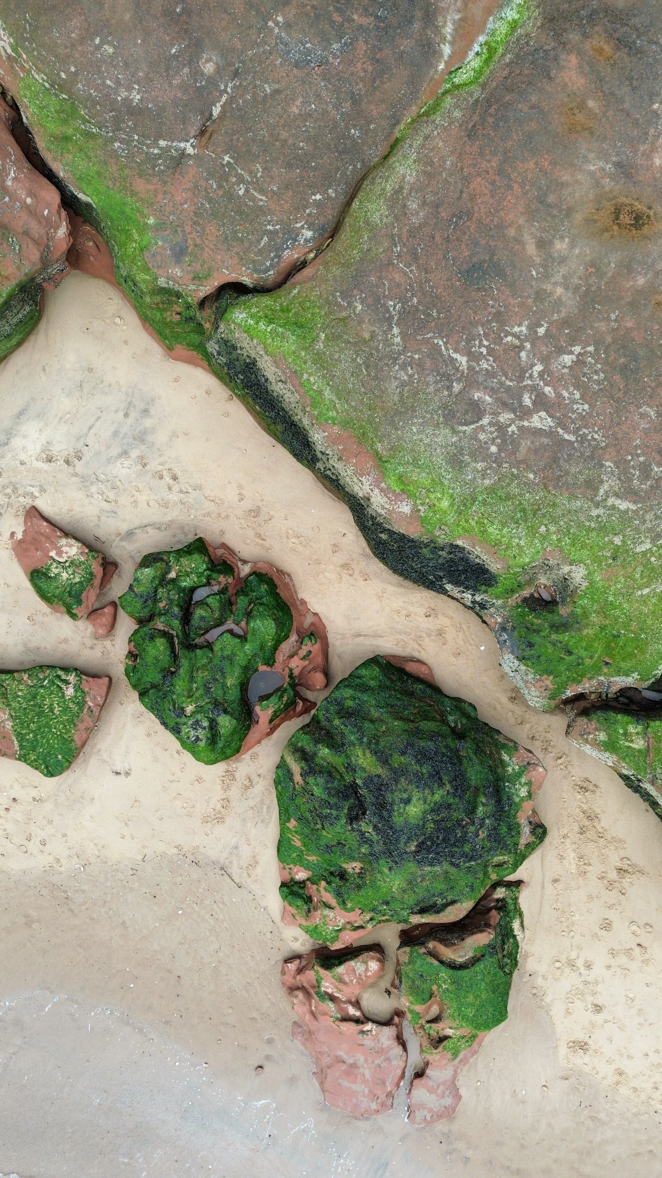 Close-up of a weathered rock with green moss and algae growth, with scattered smaller rocks around it on sand.