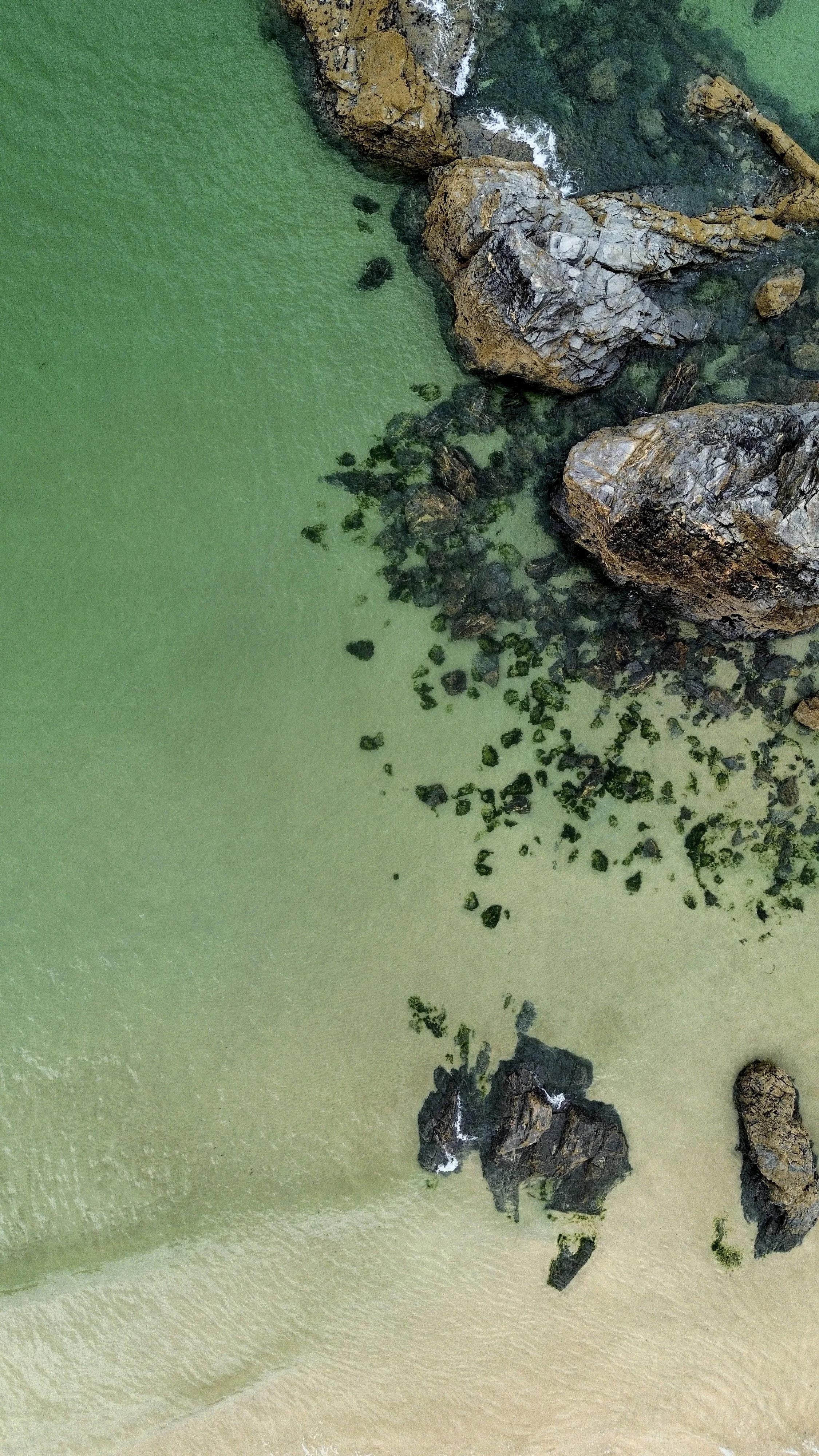 Aerial view of rocks near the shoreline with green water and submerged seaweed.