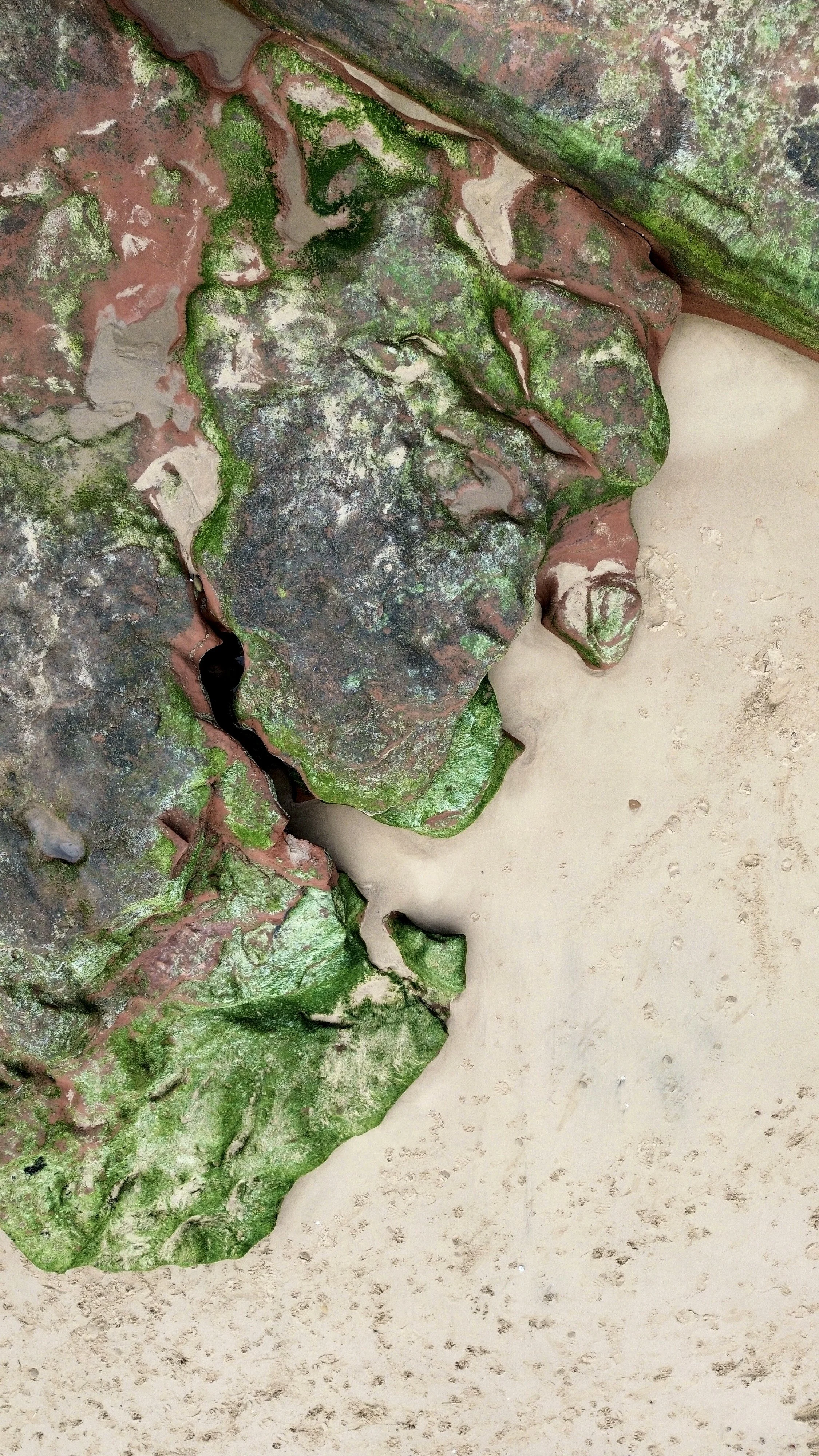 Close-up of a moss-covered, weathered rock formation on a sandy surface.