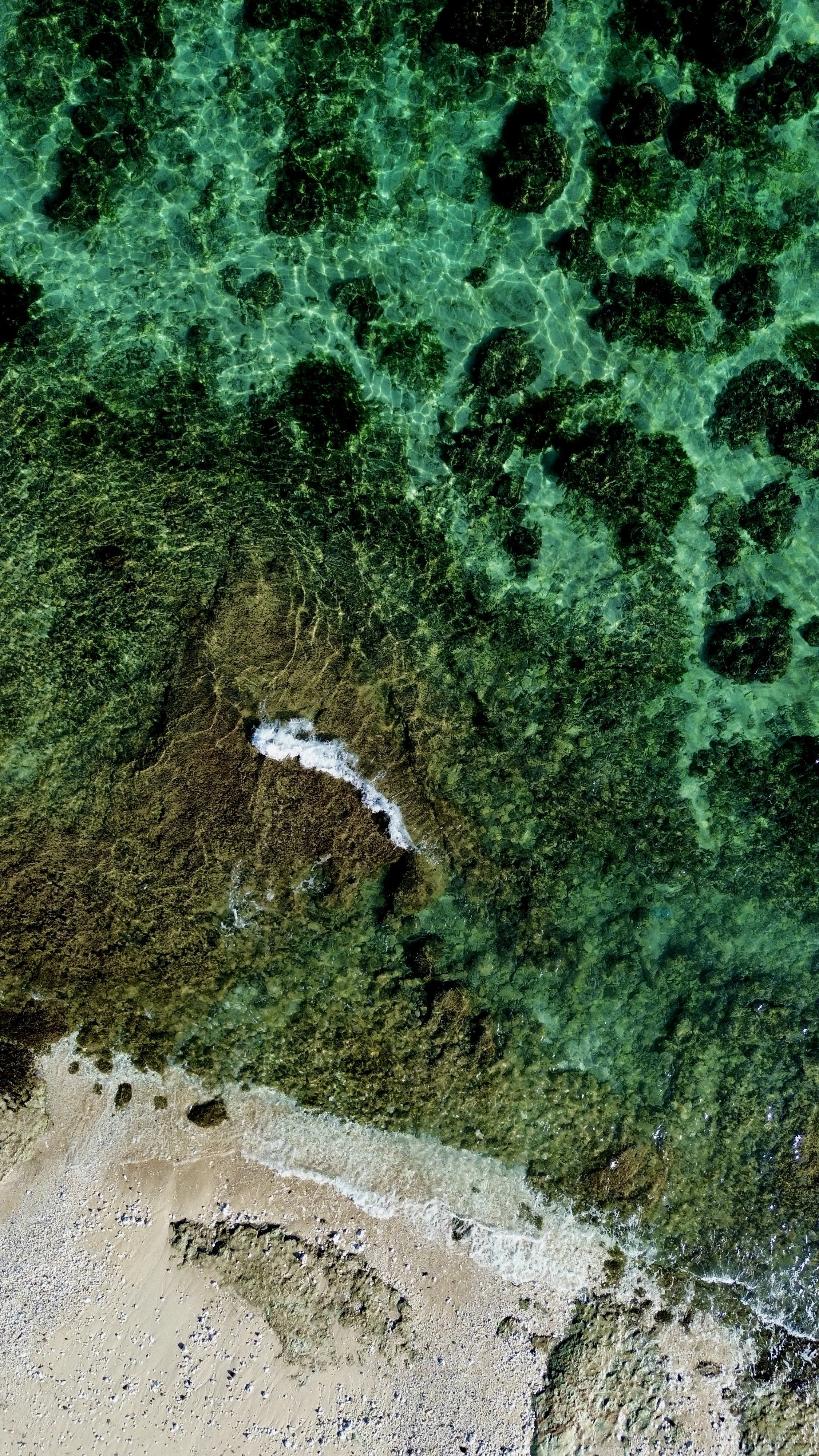 An aerial view of a beach with clear green water, rocks, and a sandy shoreline.