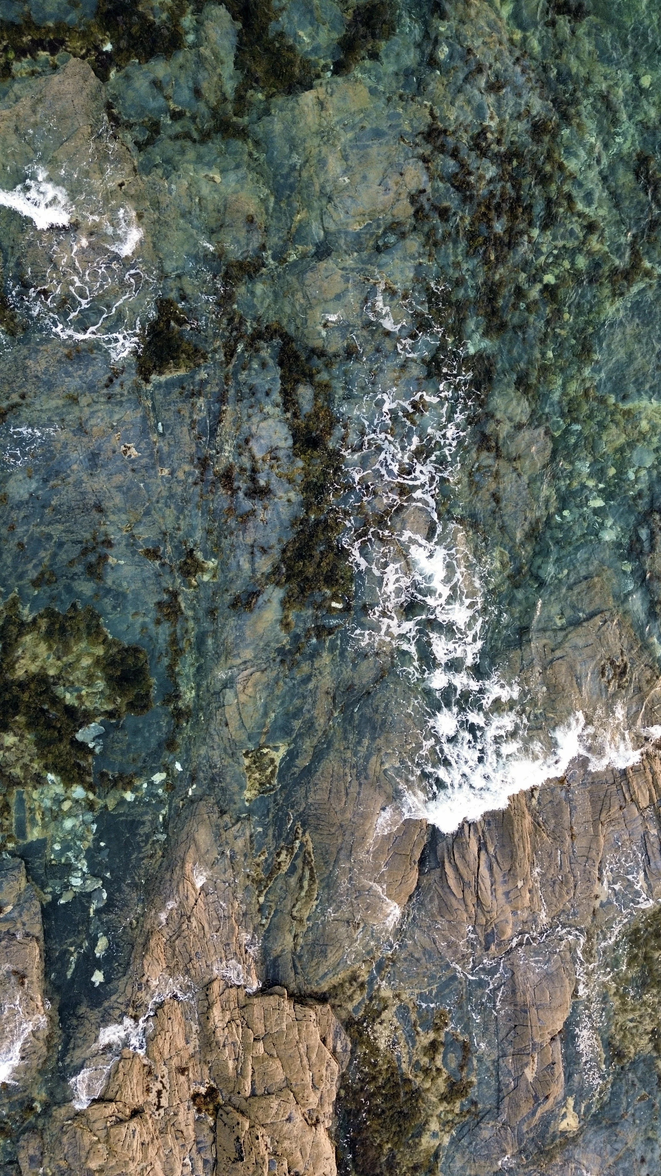 Aerial view of rocky shoreline with waves crashing against rocks and seaweed
