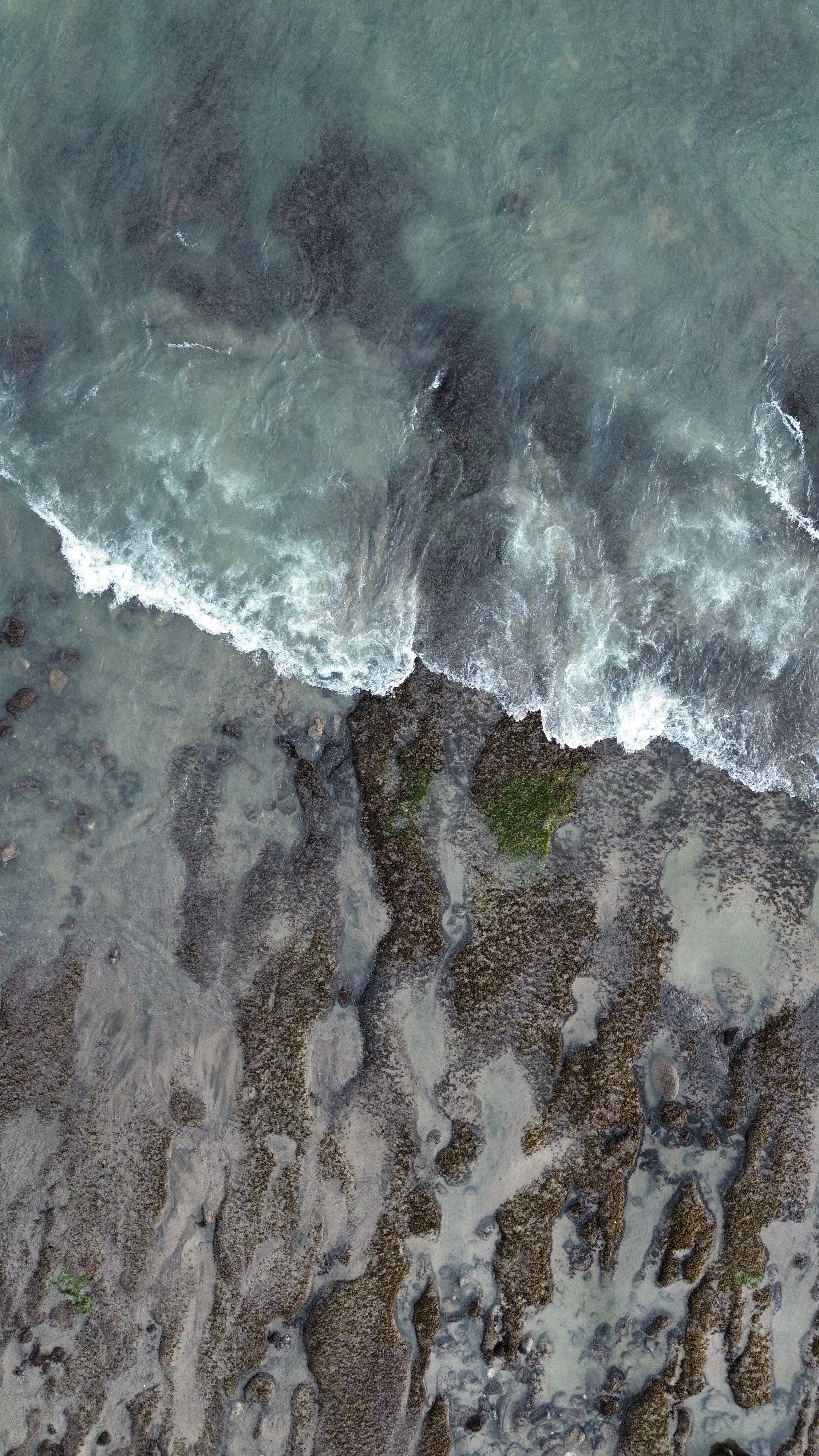View of ocean waves washing over rocks and seaweed on the shore.