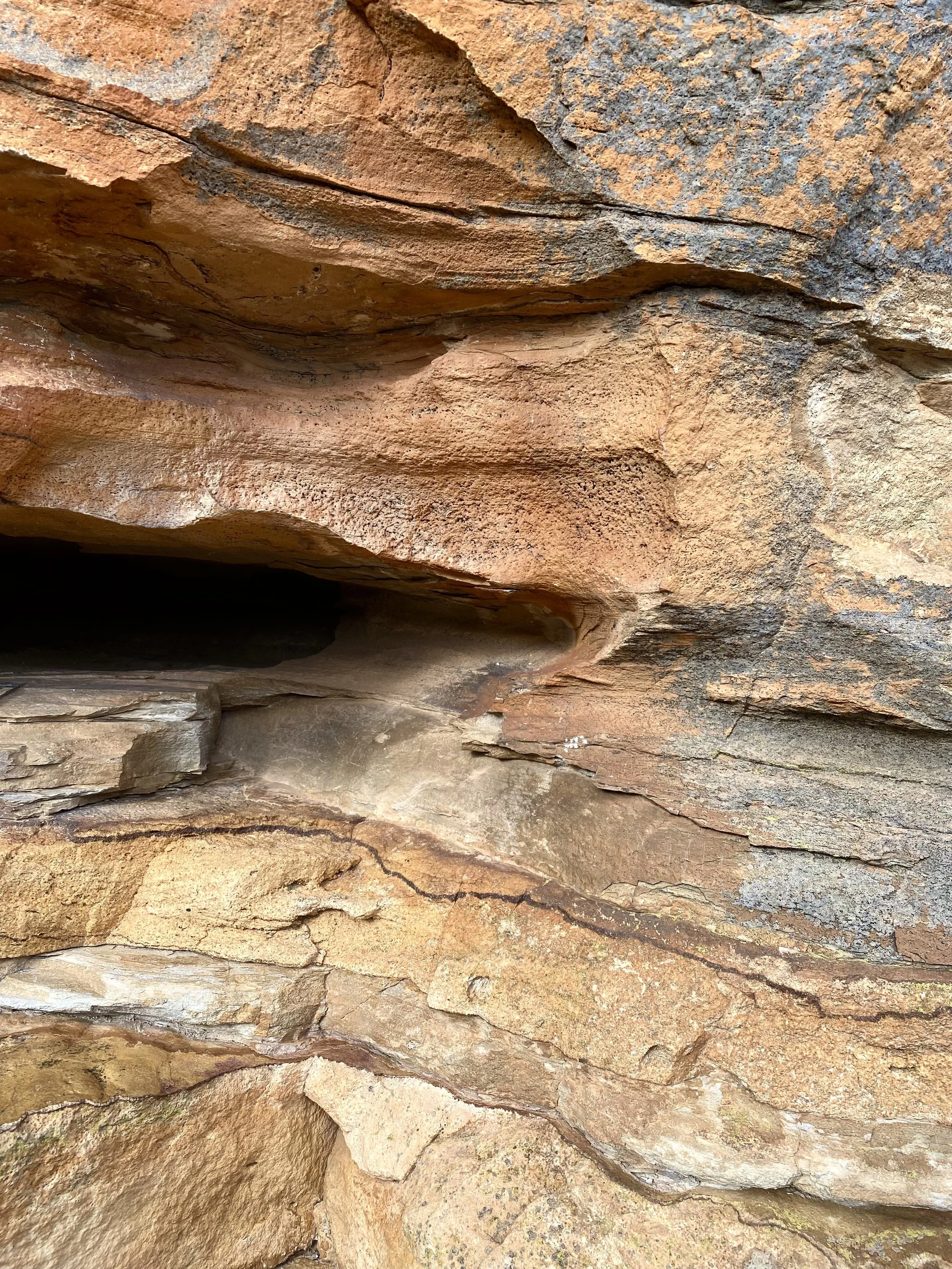 Close-up view of layered sandstone rocks with reddish and tan hues, showing various textures and natural formations.