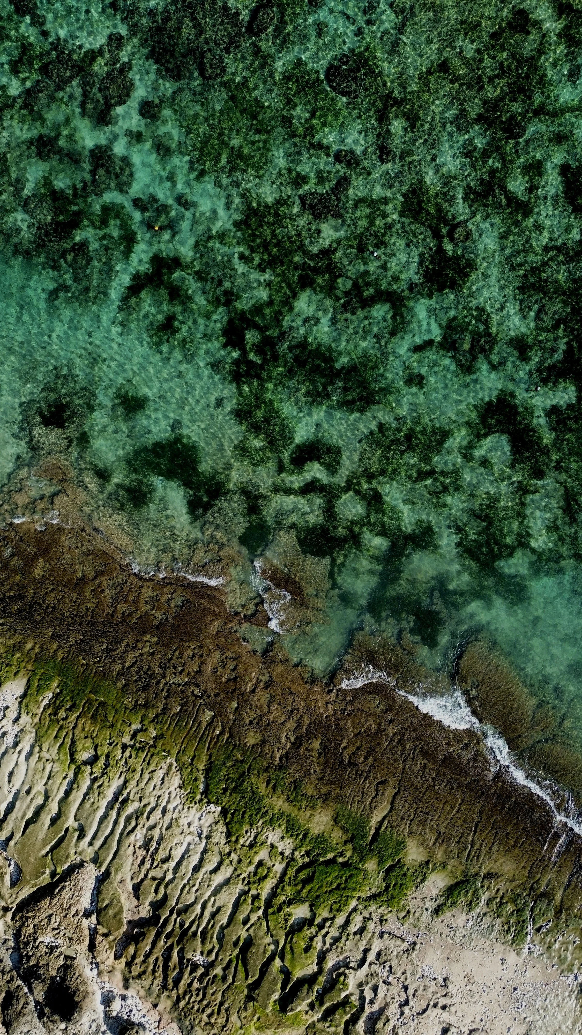 Aerial view of a coastal area with rocky cliffs at the bottom, transitioning into clear, greenish water with visible underwater rocks and coral formations.