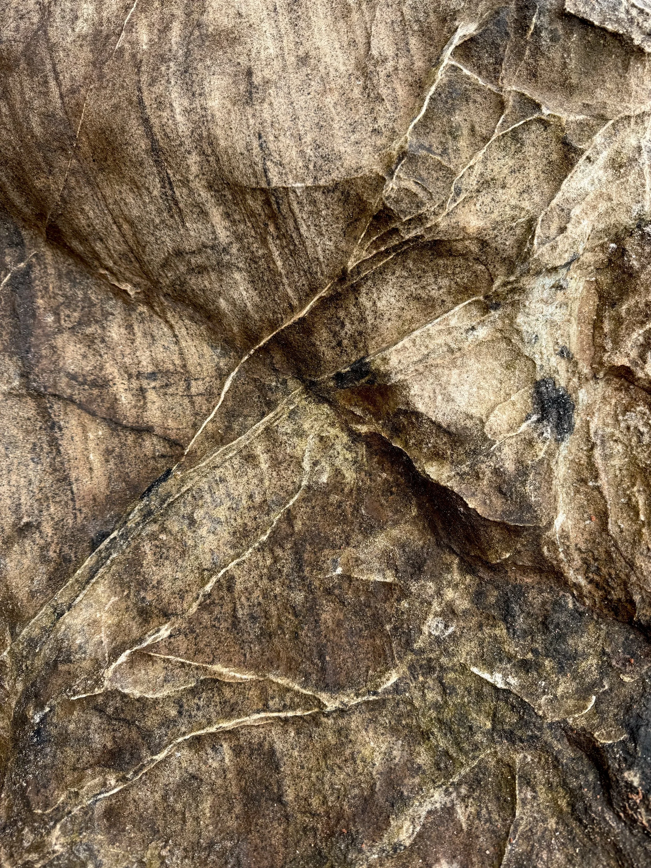 Close-up of a brown and gray geological rock surface with visible cracks and lines.