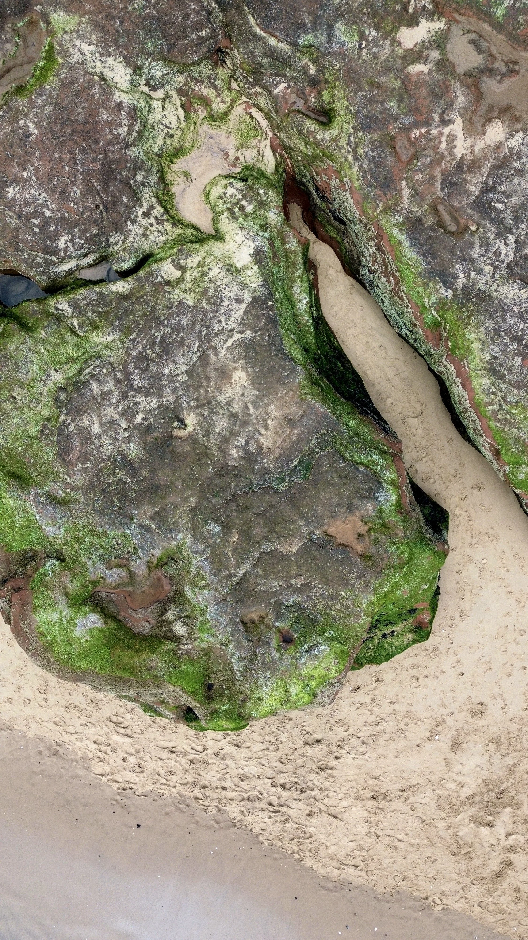A large mossy rock with green moss, patches of lichen, and surrounding sandy ground.