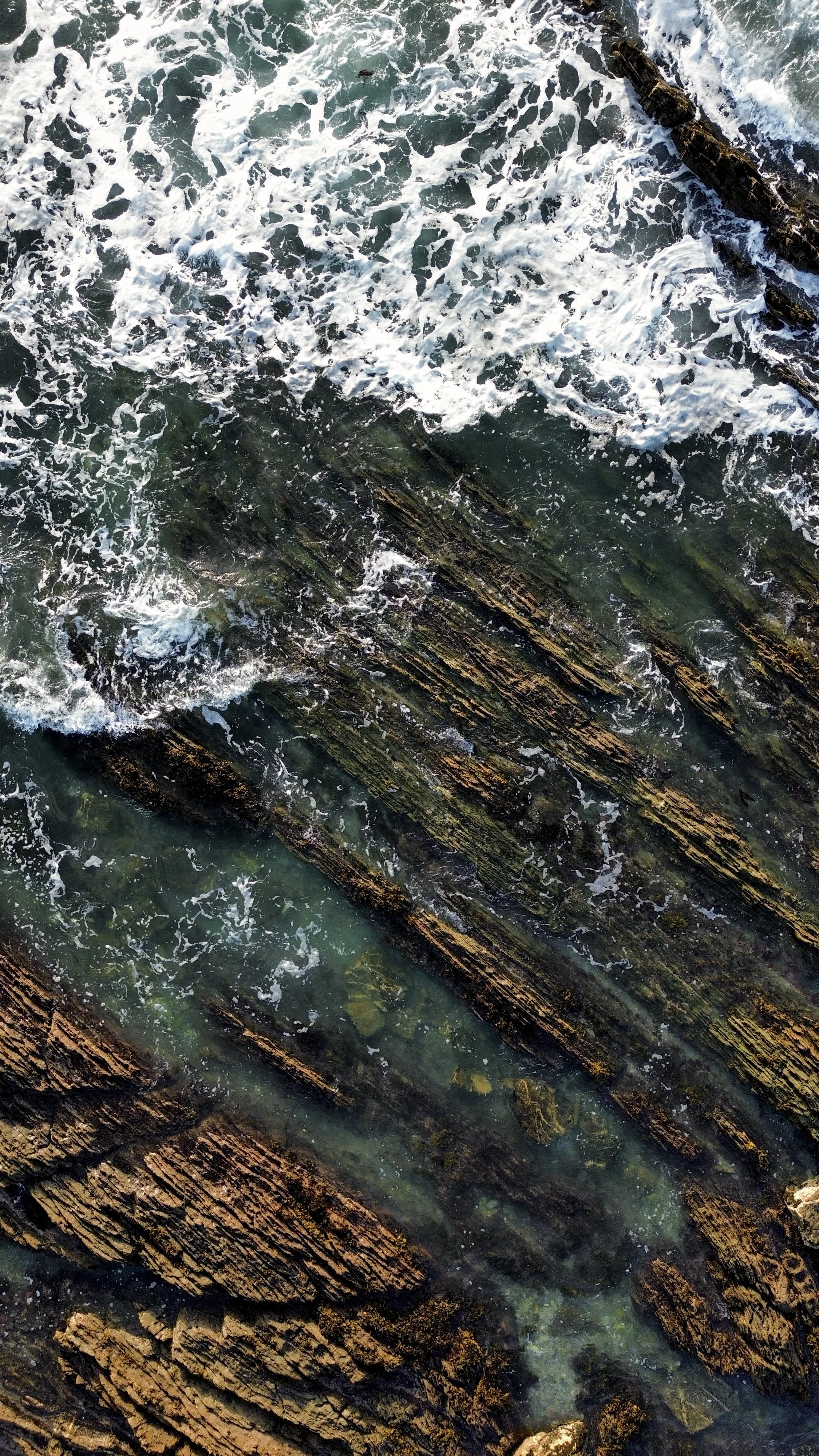 Aerial view of ocean waves crashing over submerged, weathered rocks with algae and seaweed.