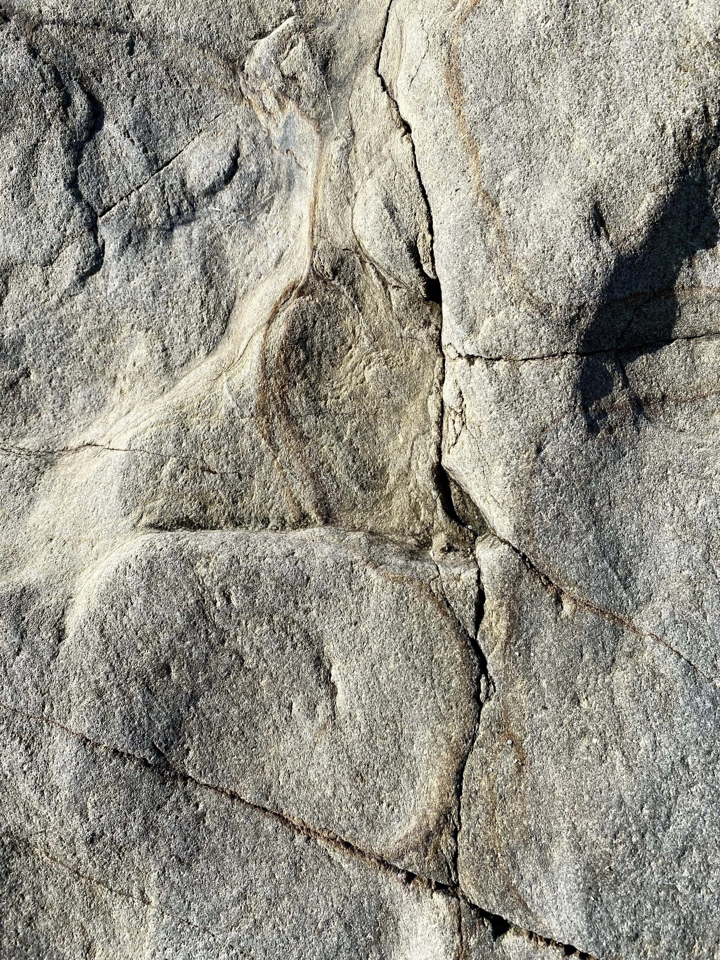Close-up of textured gray and beige granite rock surface with visible cracks and natural patterns.