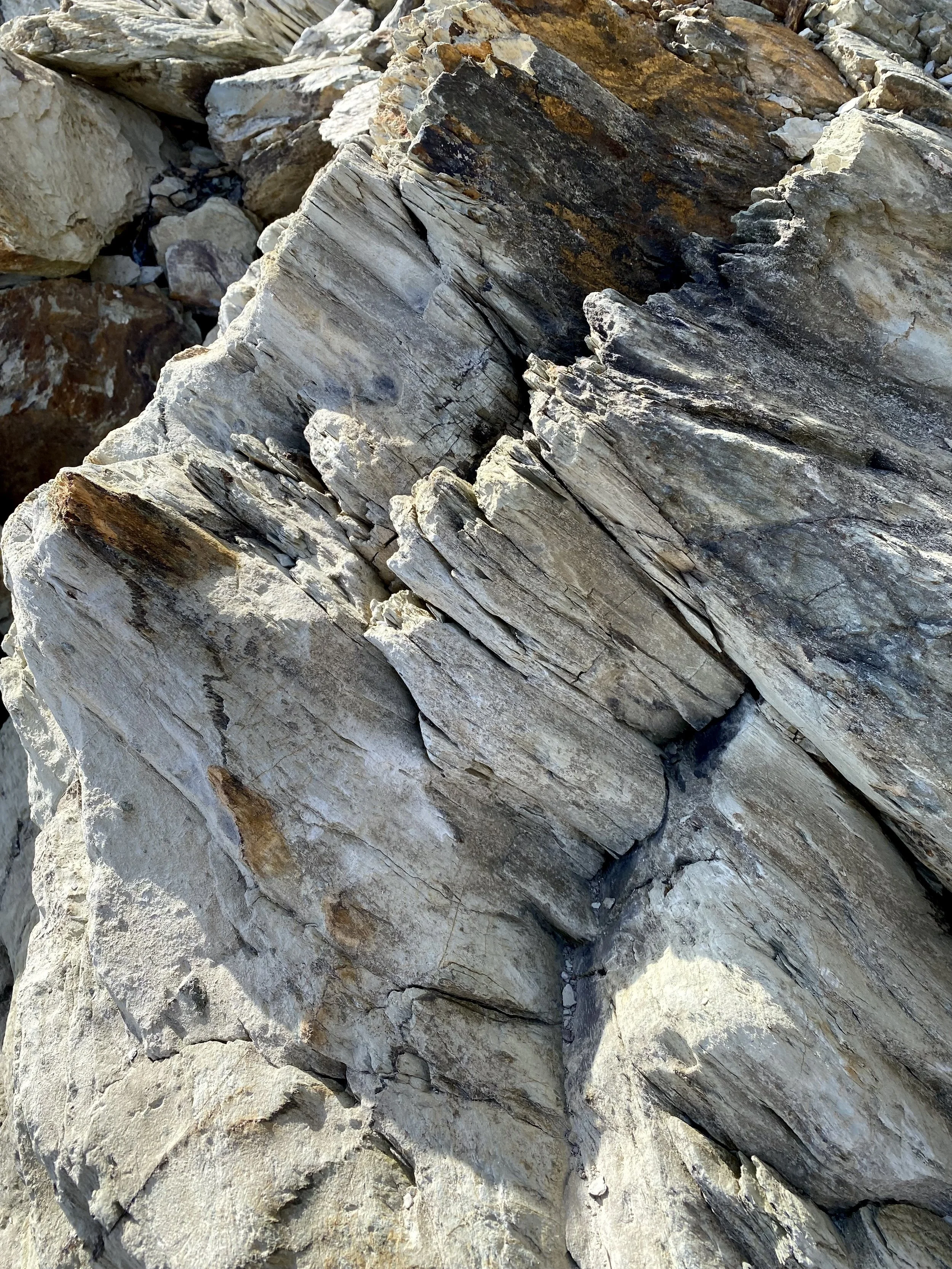 Close-up of layered rocks with various shades of gray, brown, and black, showing rough and jagged textures.