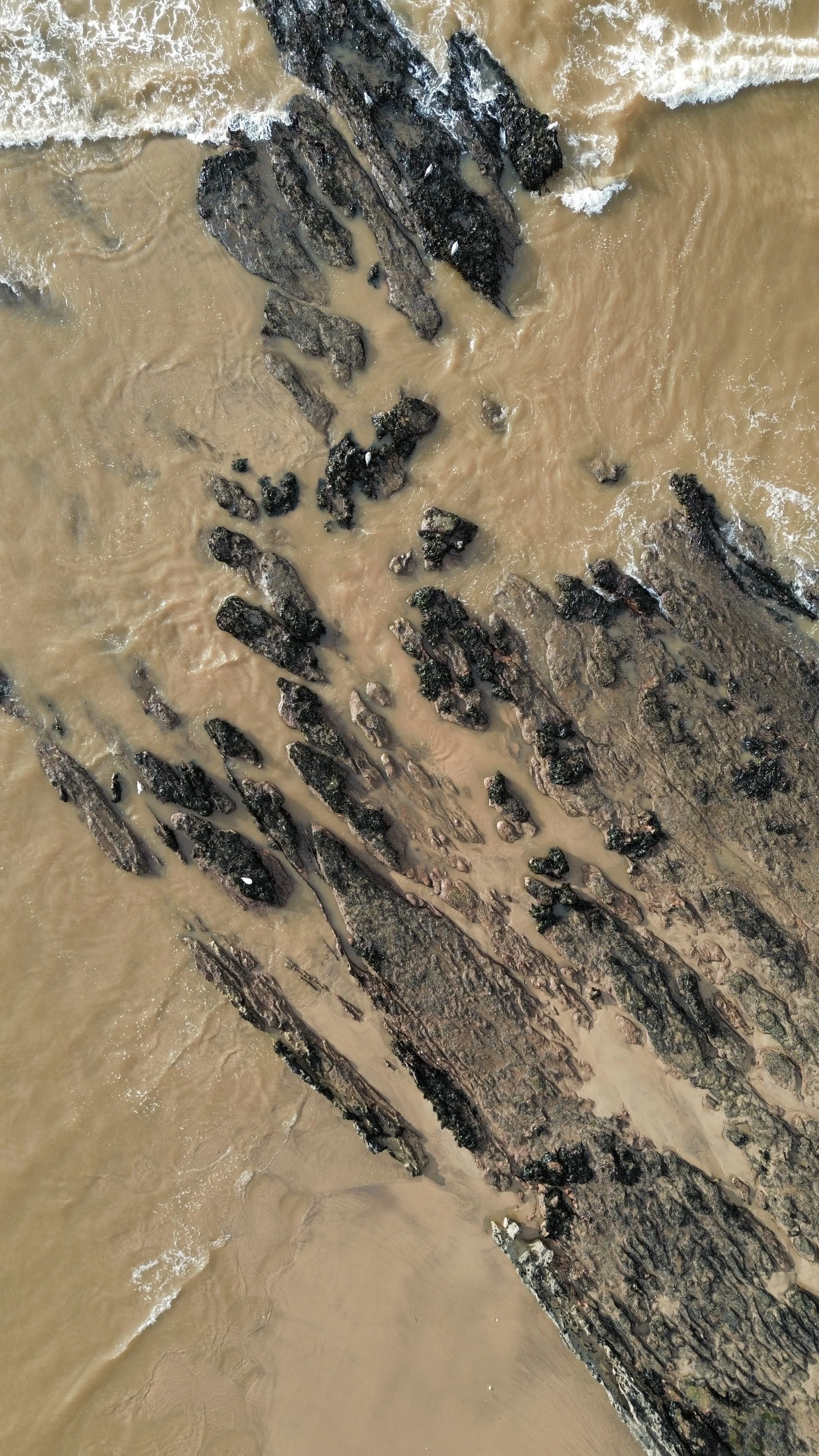 An aerial view of a rocky shoreline with brown sand and waves washing over the rocks.