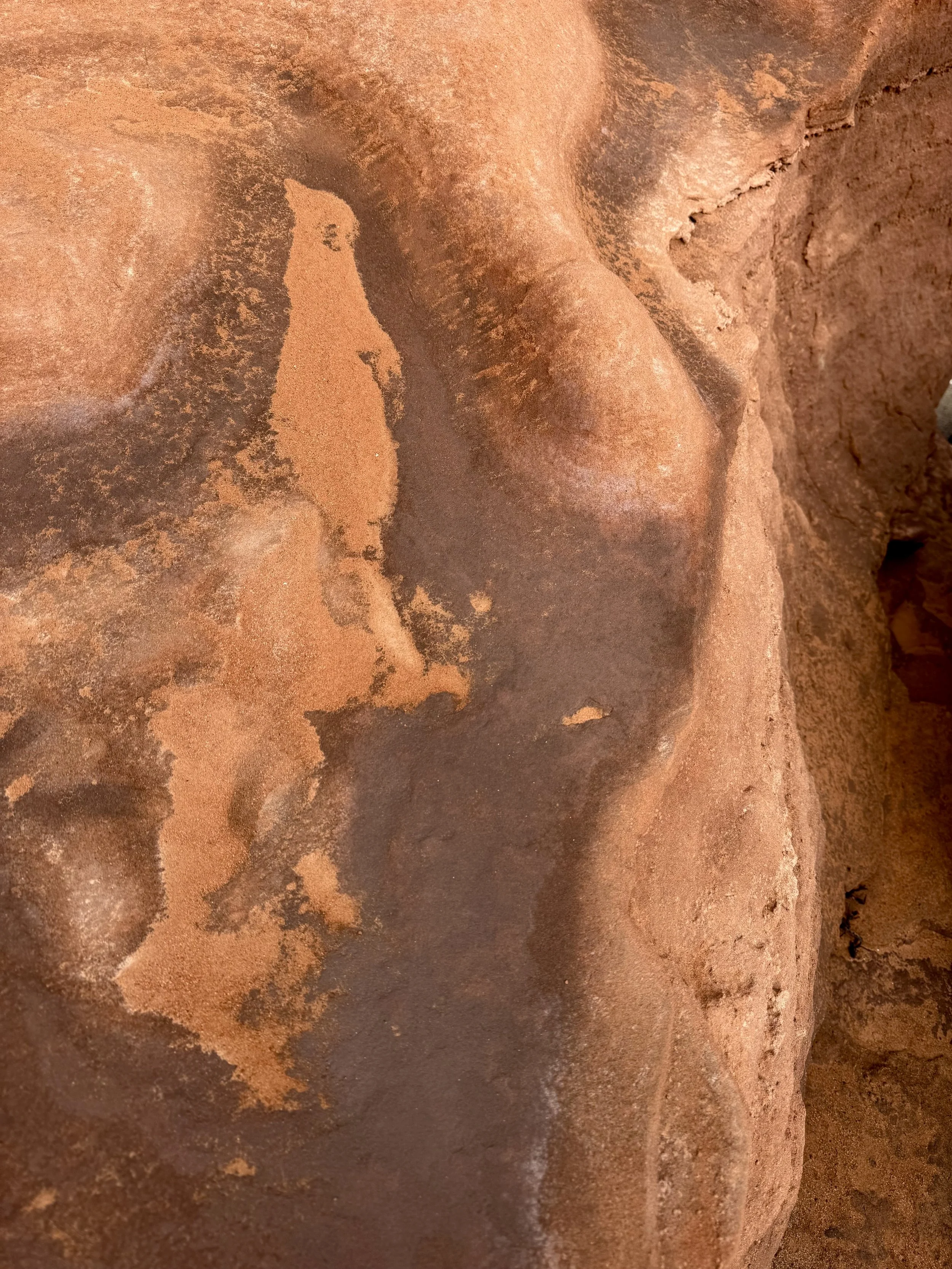 Close-up of a weathered, reddish-brown rock with textured surface and mineral streaks.