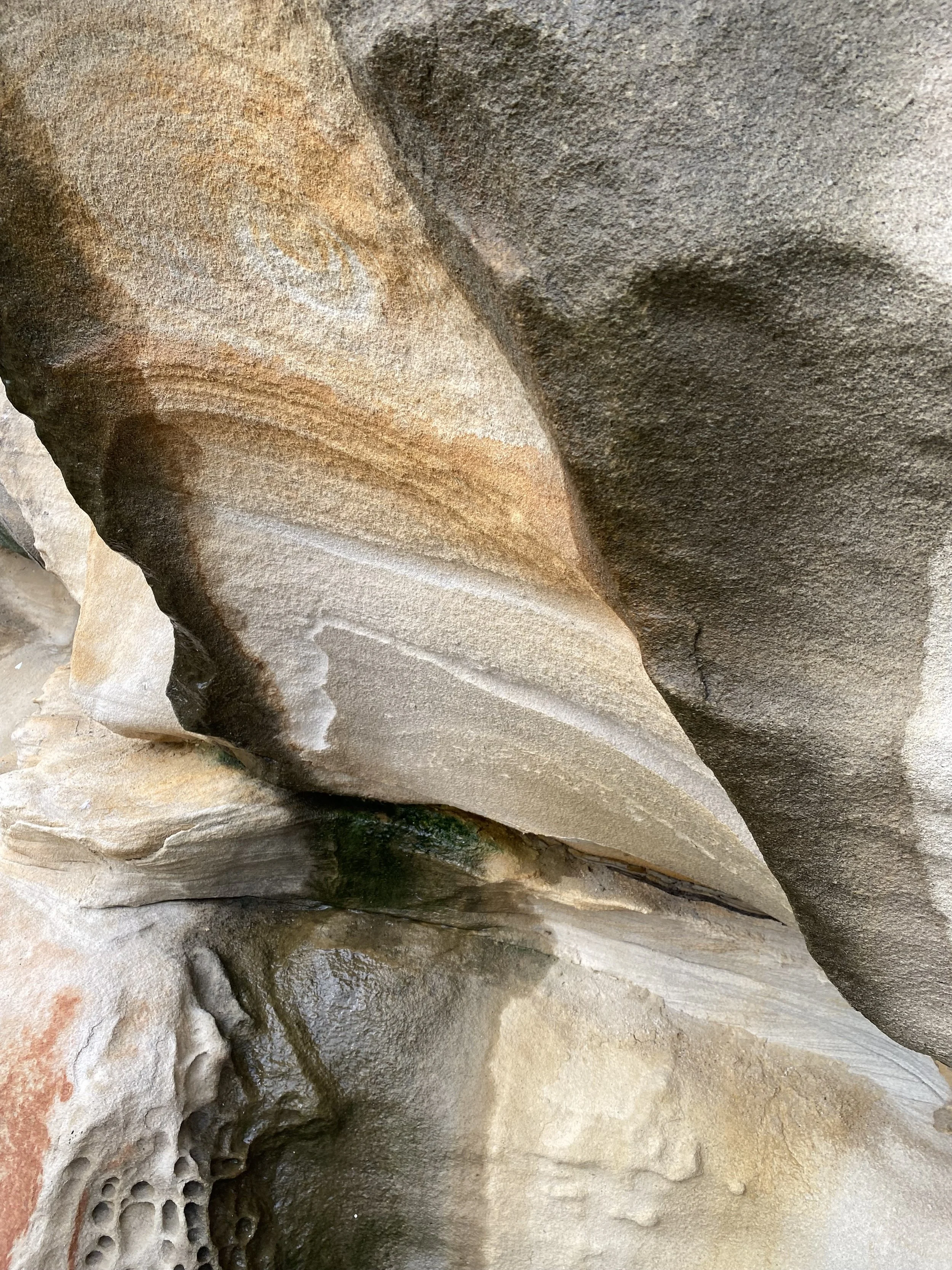 Close-up of a cave wall with intricate patterns of various-sized holes and rocks.