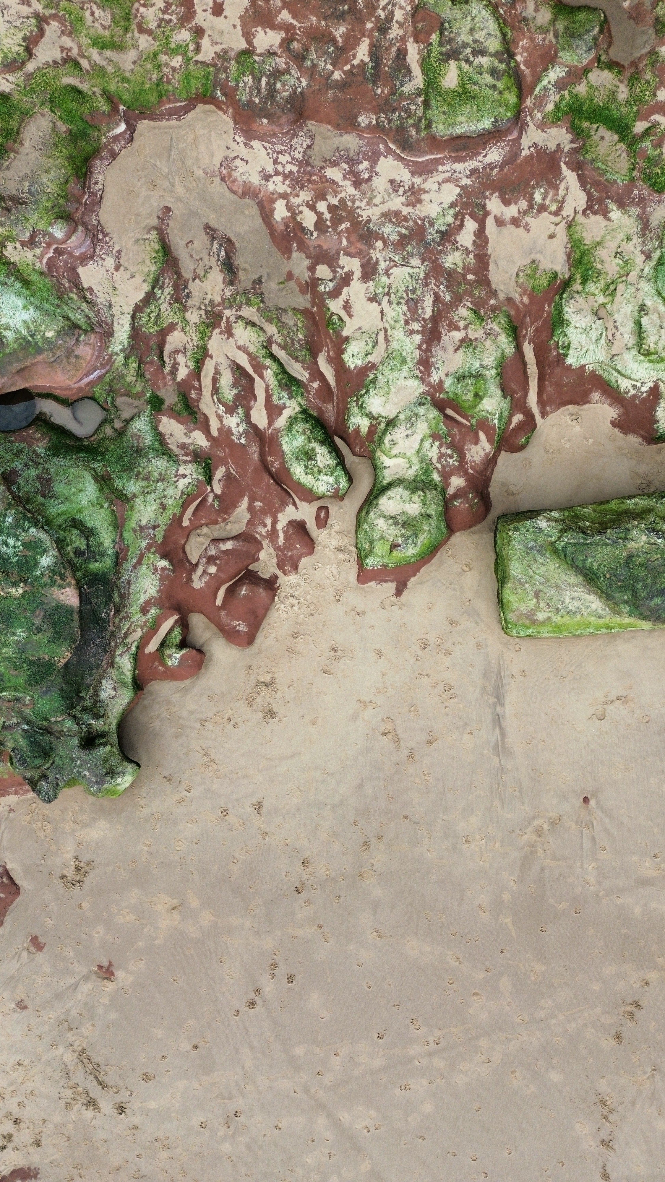 A dirt surface with footprints and tire tracks, and a rock formation covered in green moss and lichen.