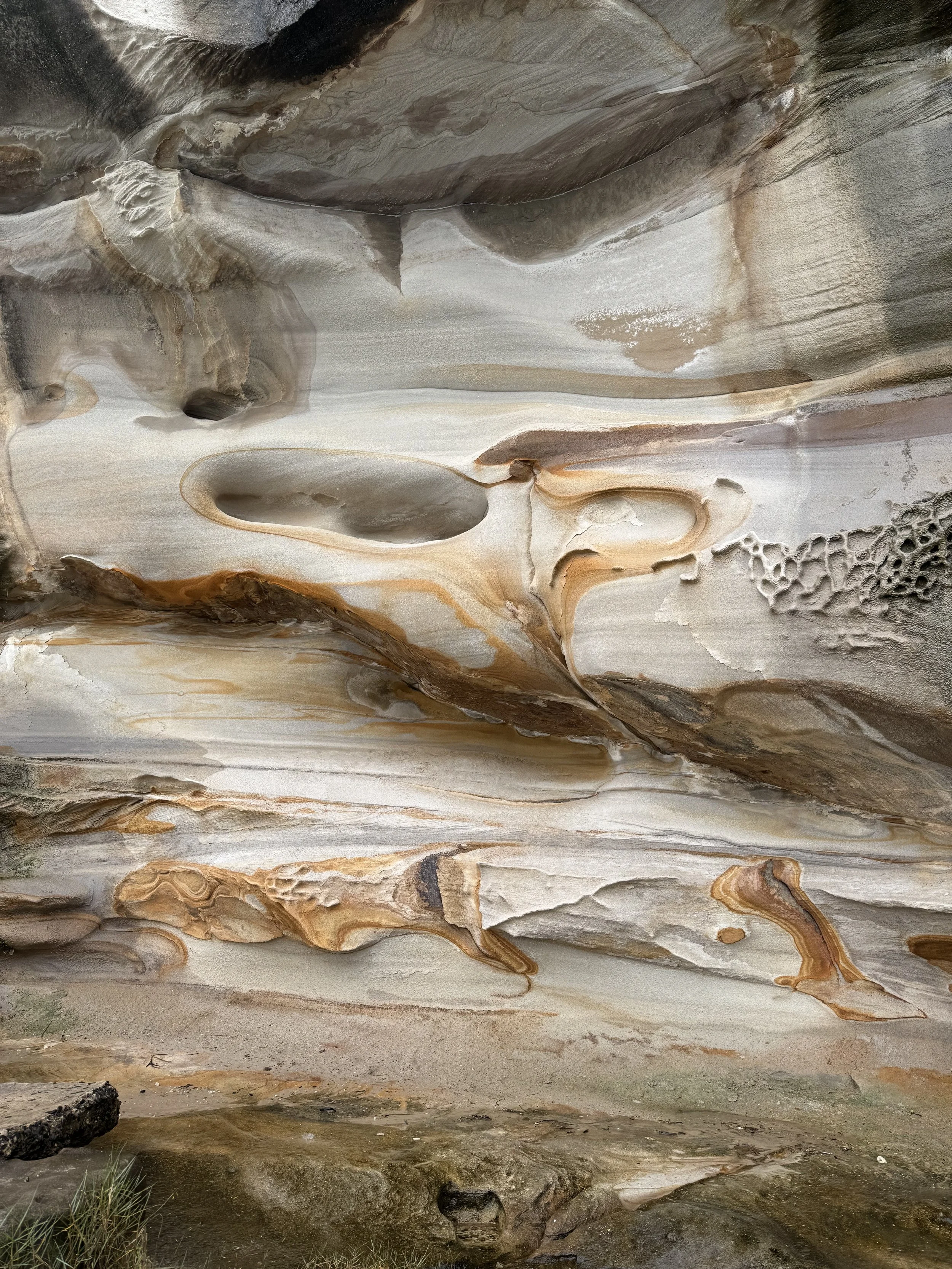 A natural rock formation with smooth, layered textures and hollowed-out sections, resembling a geological cave or canyon wall, with some vegetation at the bottom.