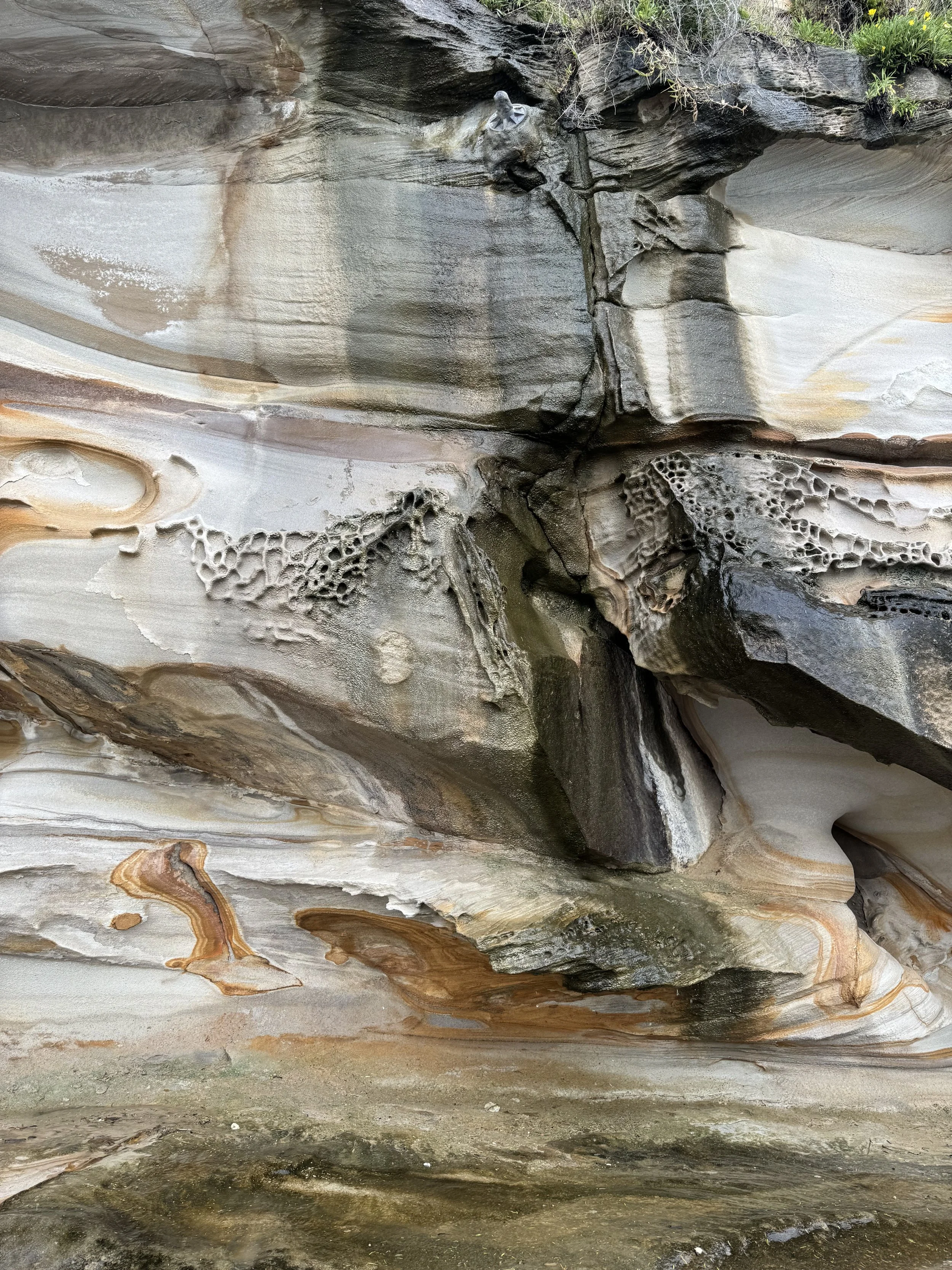 Photo of a textured rock surface with various colors and patterns, featuring cracks, holes, and bands of different shades of gray, beige, and brown.