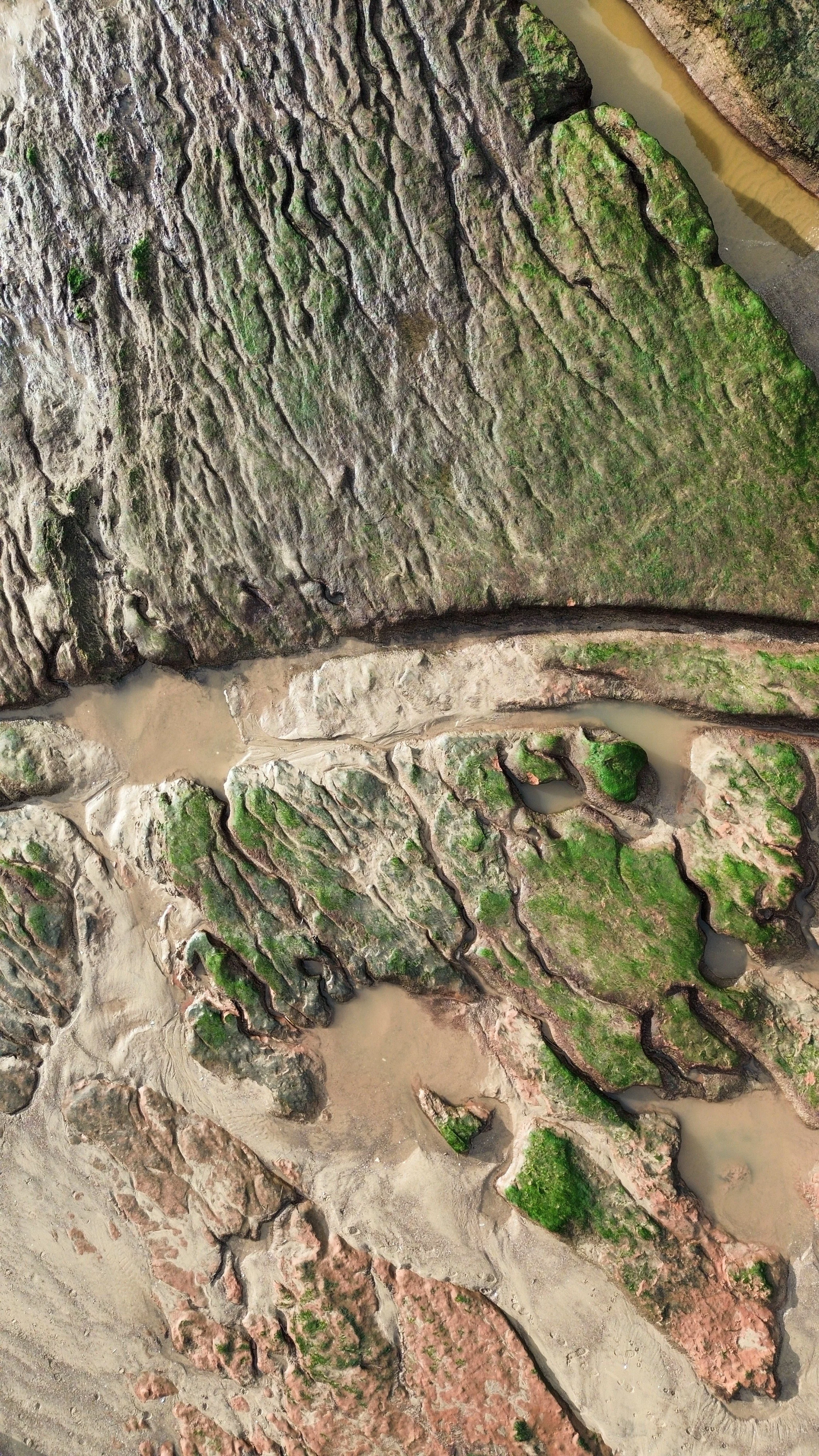 An aerial view of a coastal area with rocky cliffs, green moss, and shallow pools of water.