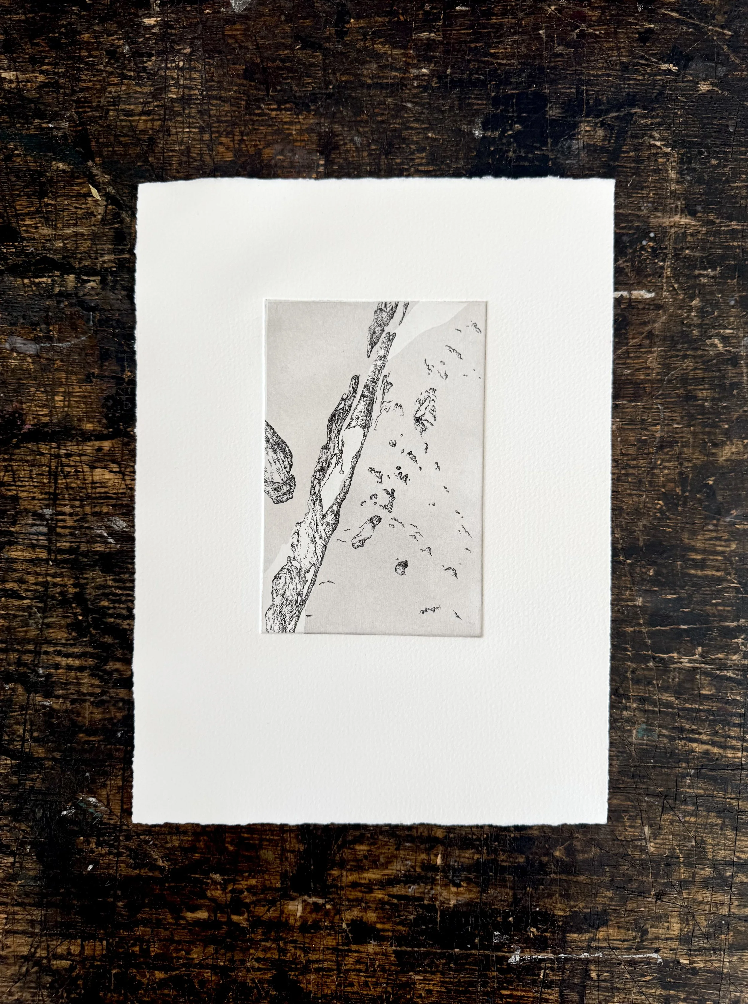 Prints