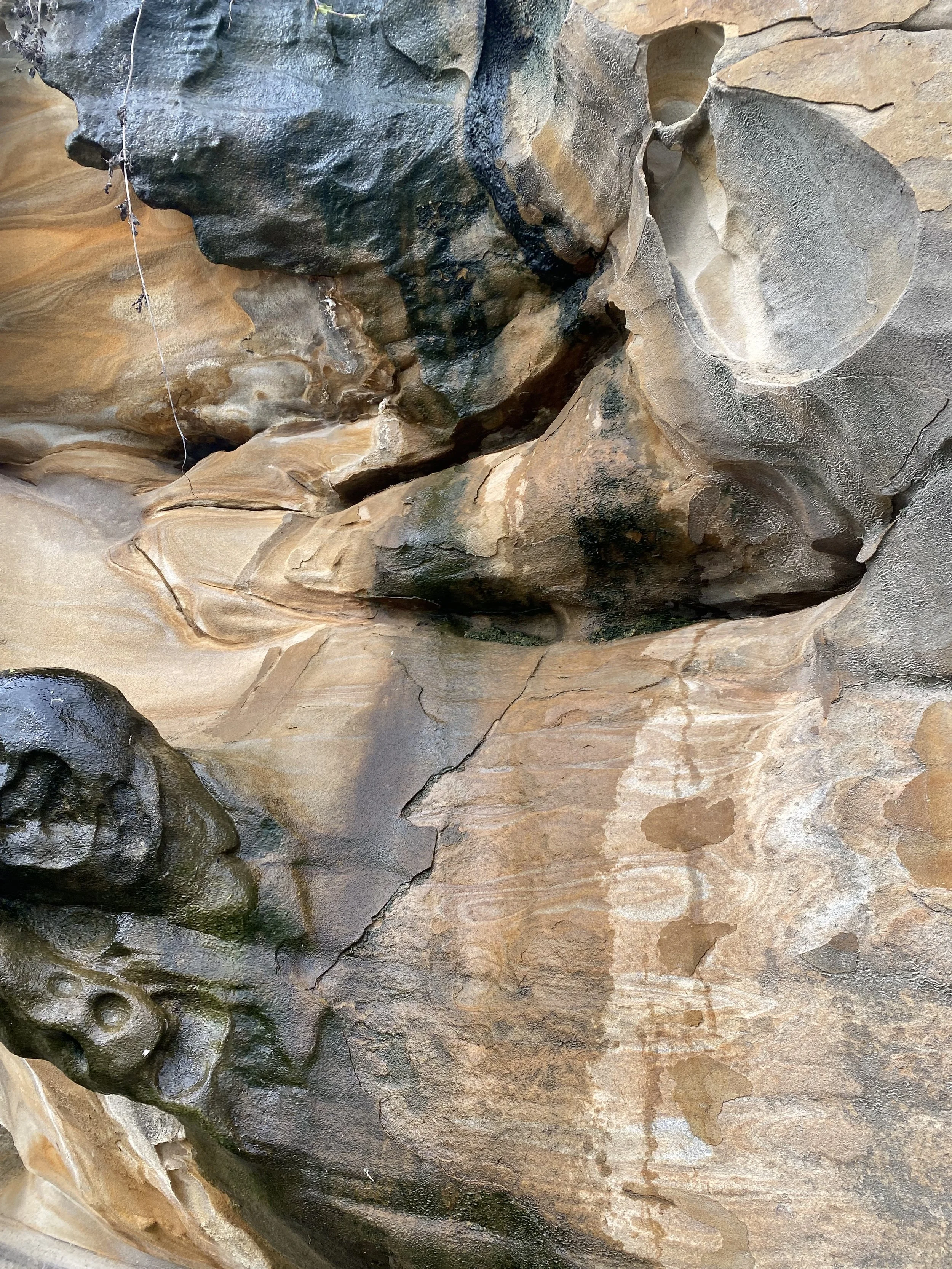 Close-up view of a rugged rock formation with various textures and shades of brown, tan, and black, featuring some smooth and some jagged surfaces.