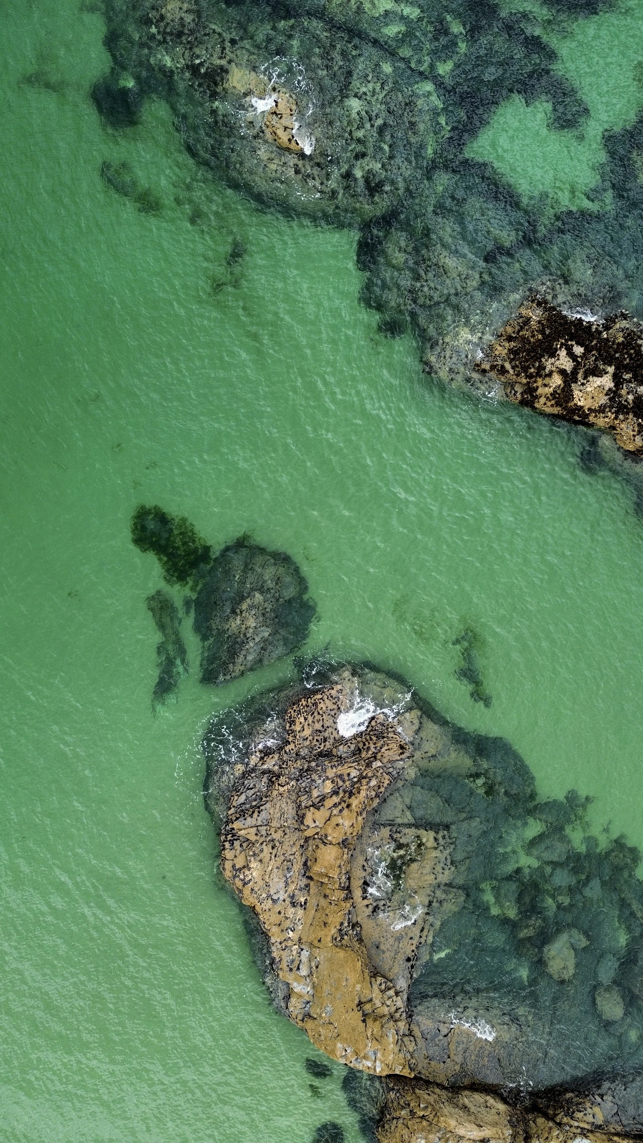 Aerial view of rocky shoreline with green water, some rocks covered in moss and seaweed, and small breaking waves.