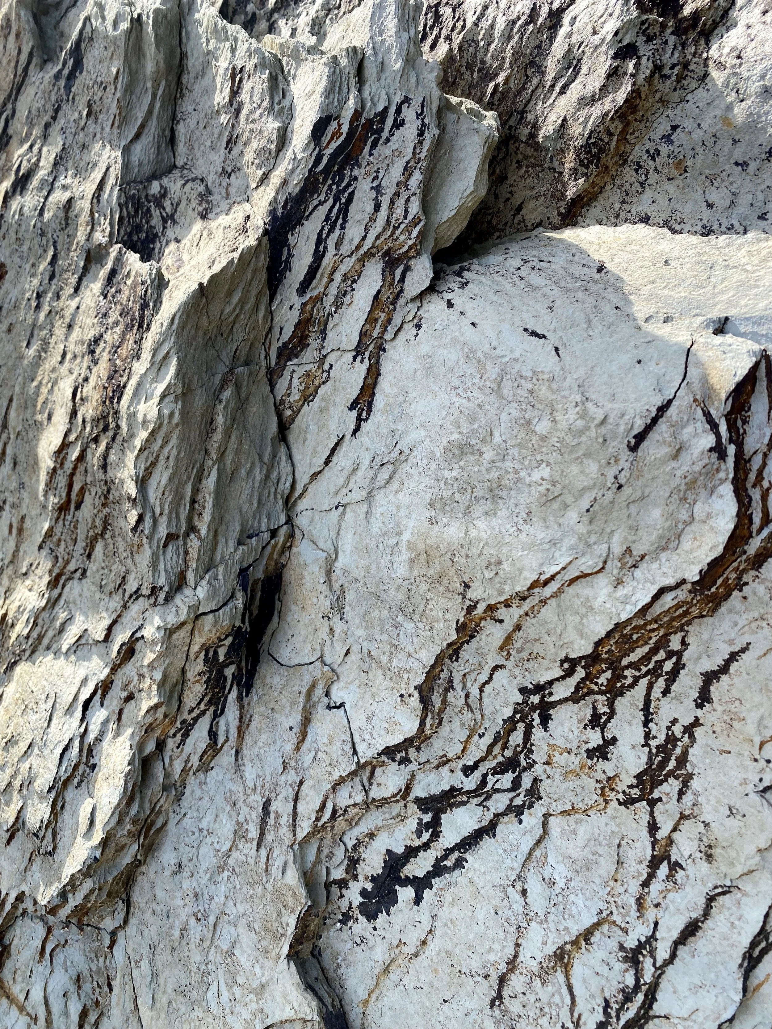 Close-up view of a rocky surface with white and gray stones, featuring black and brown streaks and veins.