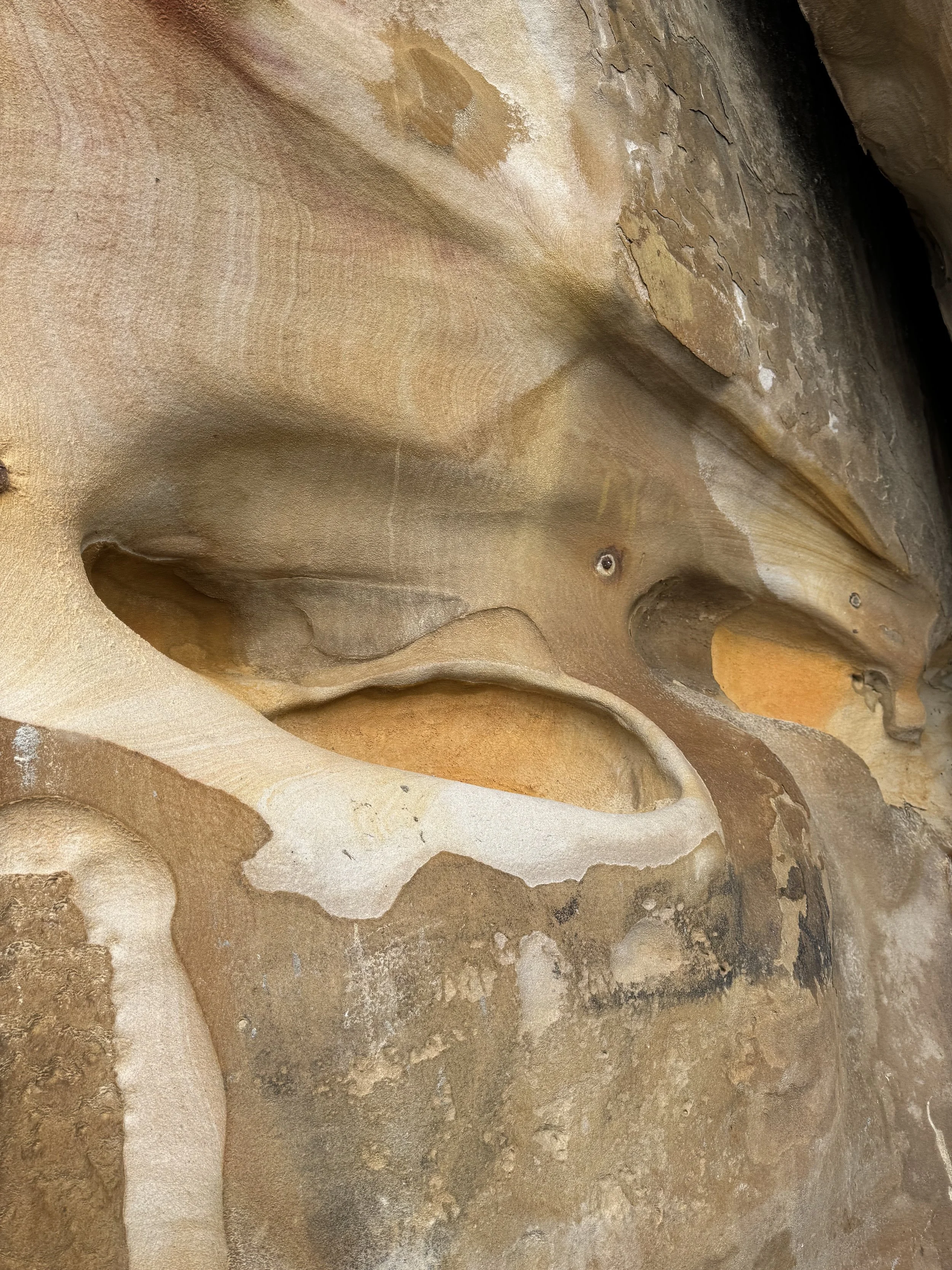 Close-up photo of a sandstone cliff wall with smooth and textured surfaces, showing layers and natural erosion patterns.