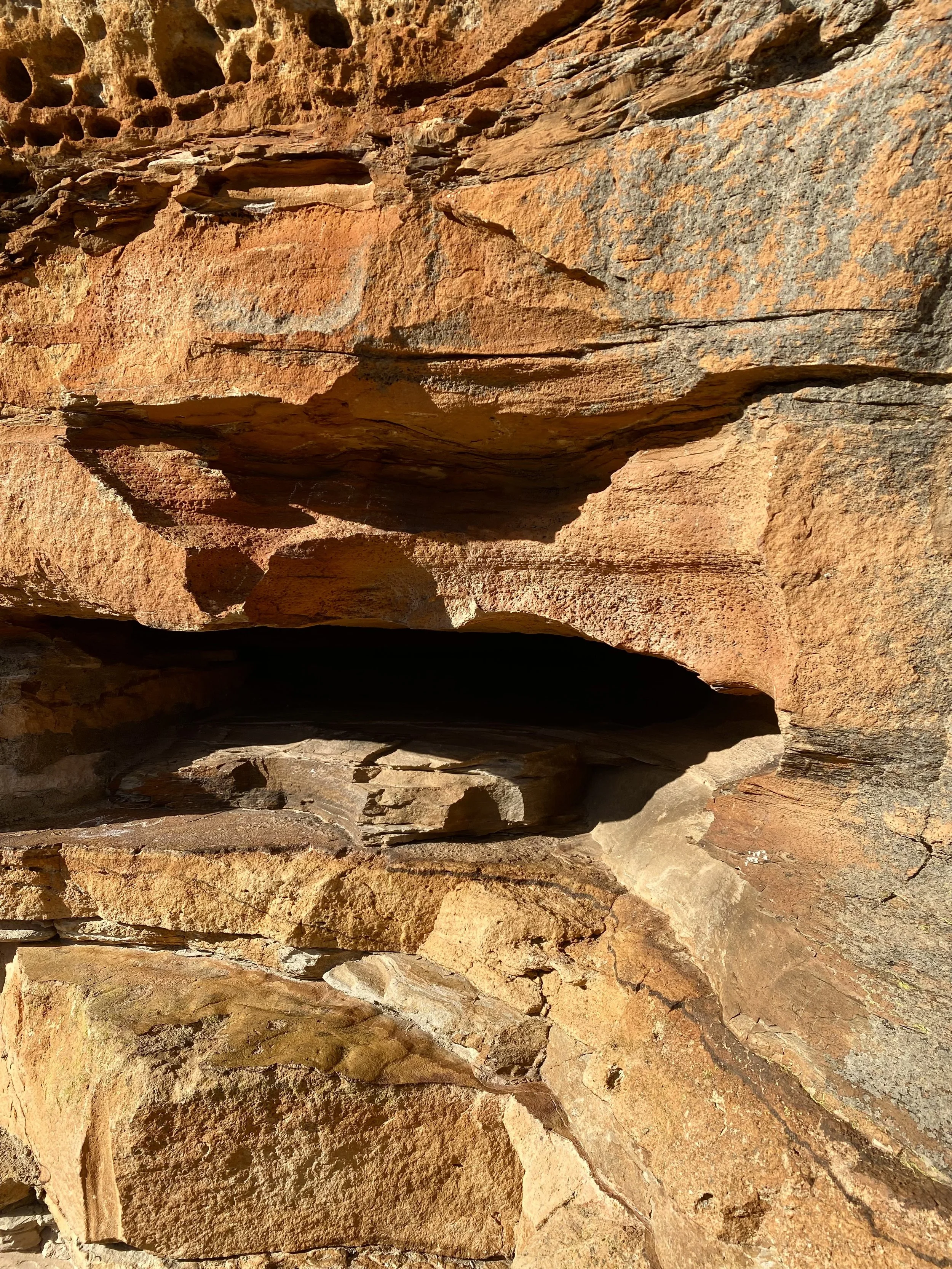 Close-up image of layered red and brown sandstone rocks with textured surfaces and natural formations.