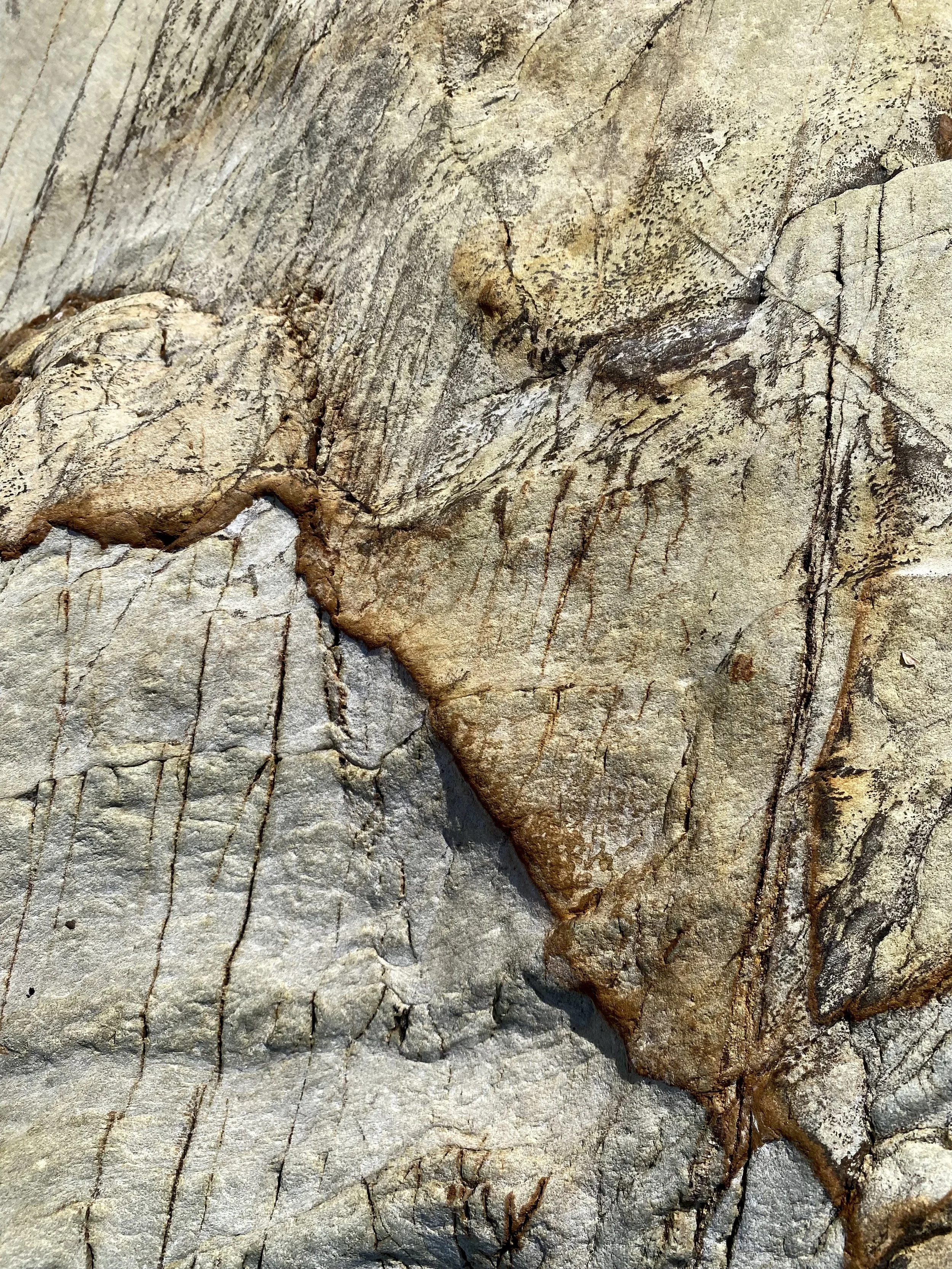 Close-up of a textured rock surface with numerous fine cracks and lines.