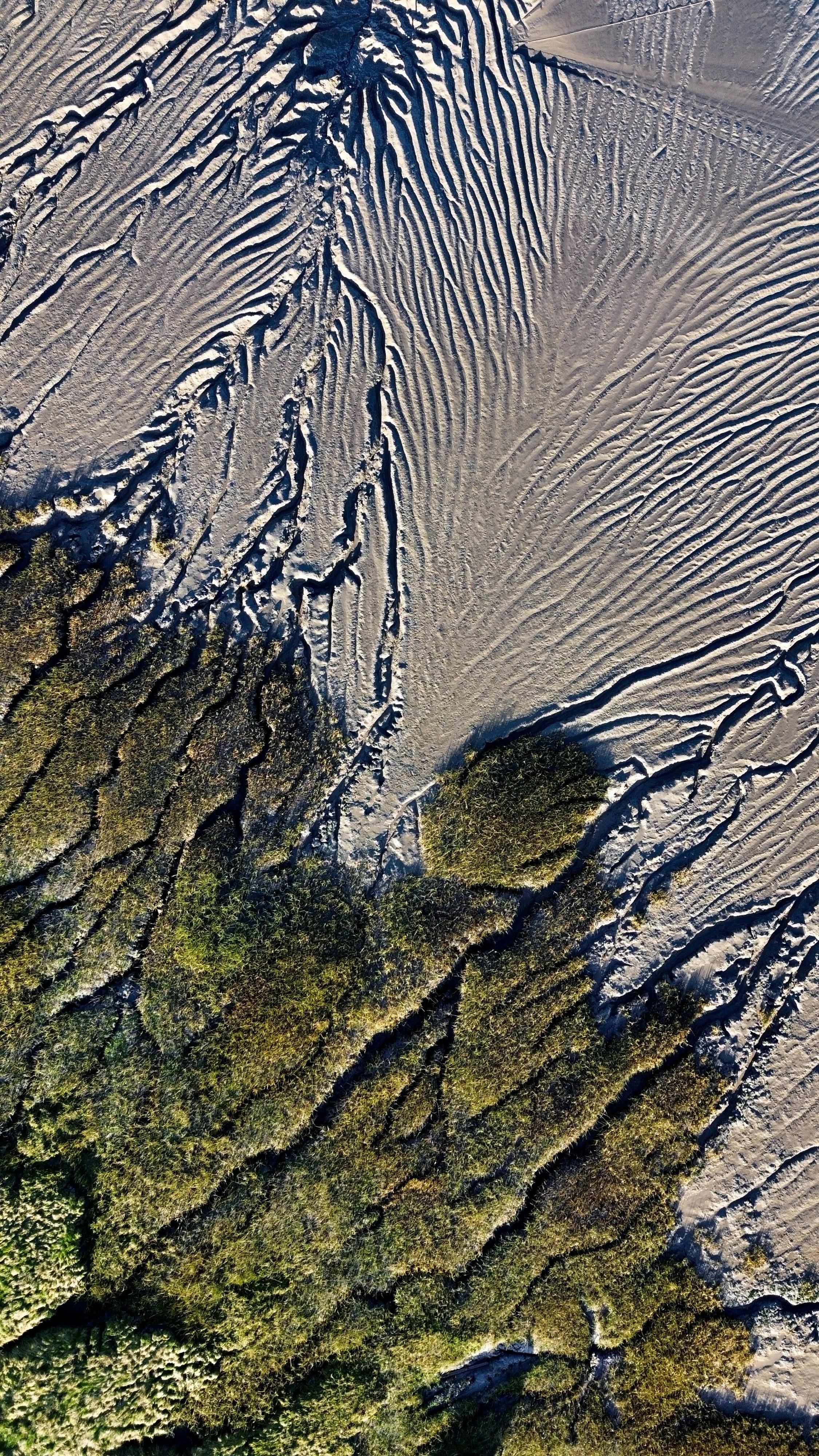 An aerial view of a landscape with patterns of sandy ridges and patches of green vegetation.
