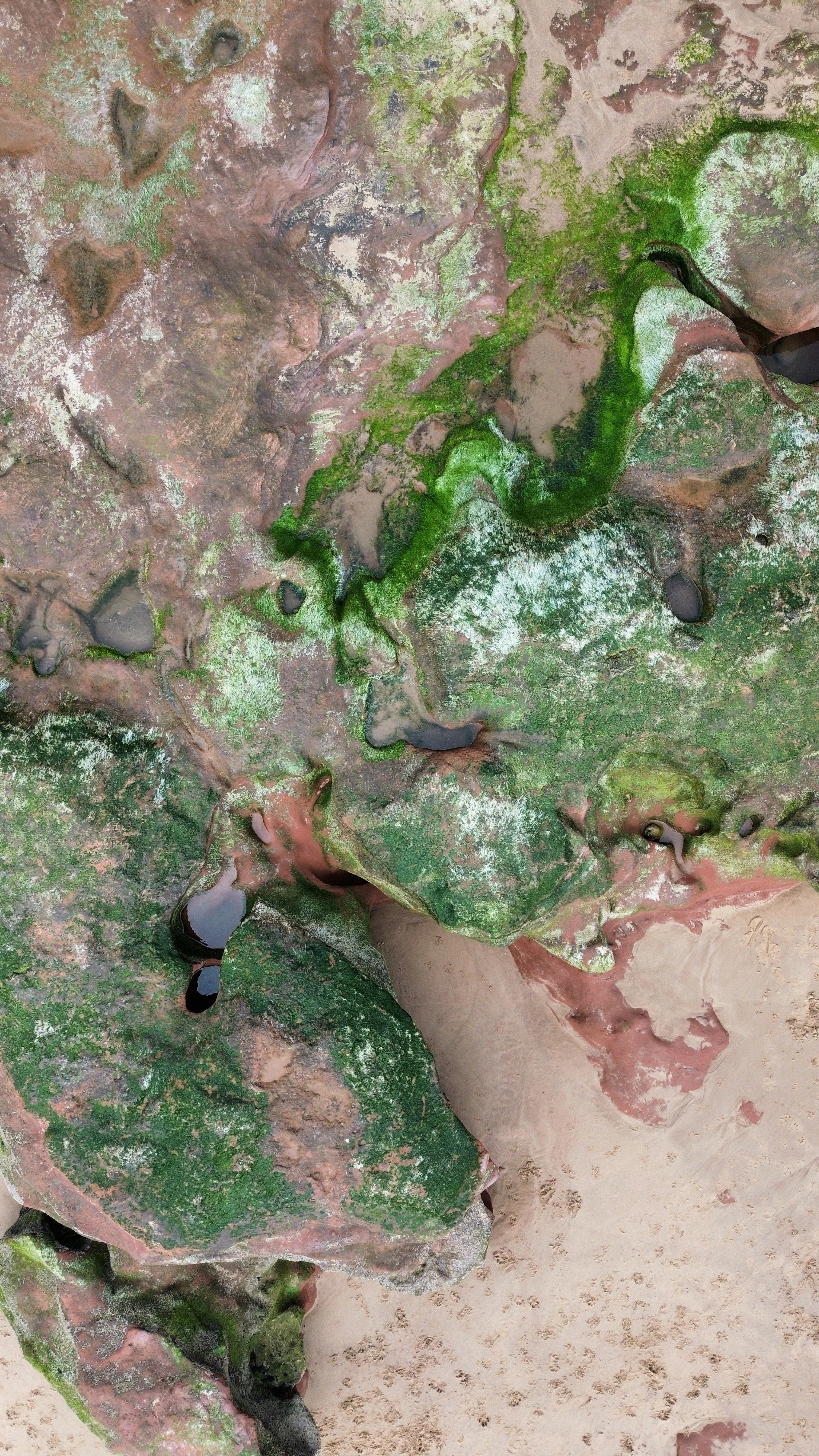 Close-up of moss-covered rocks with small pools of water and sandy ground around them.