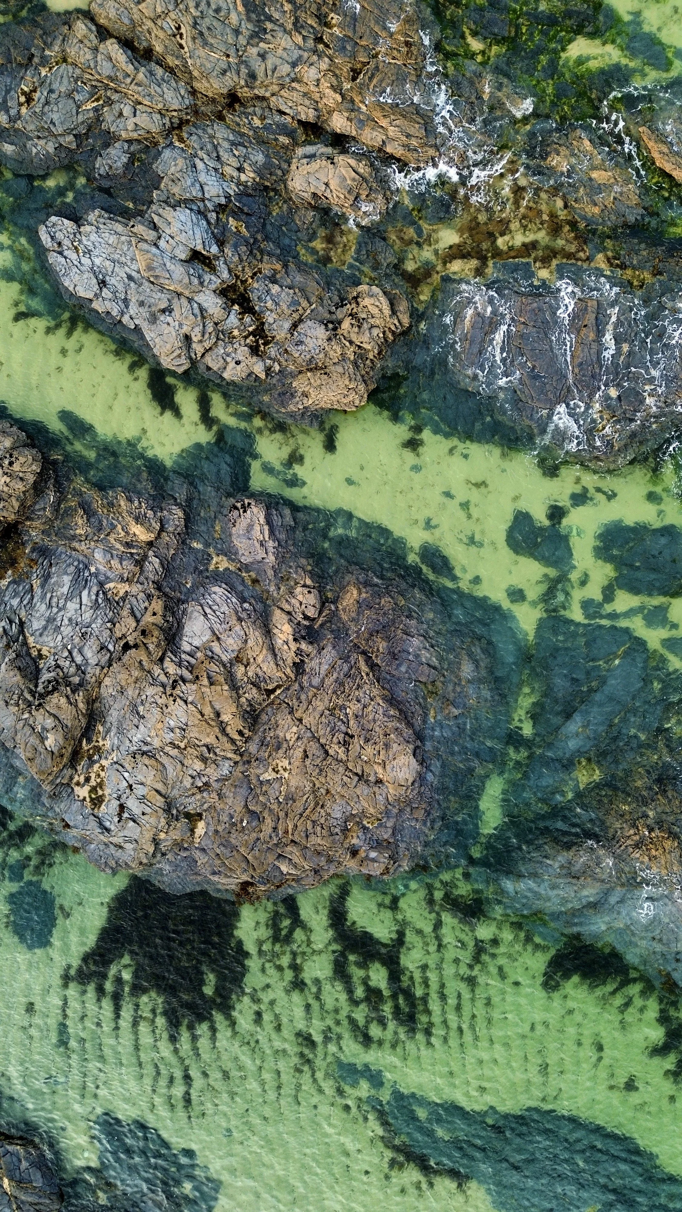 Aerial view of rocky coastal area with clear greenish water and seaweed patches.