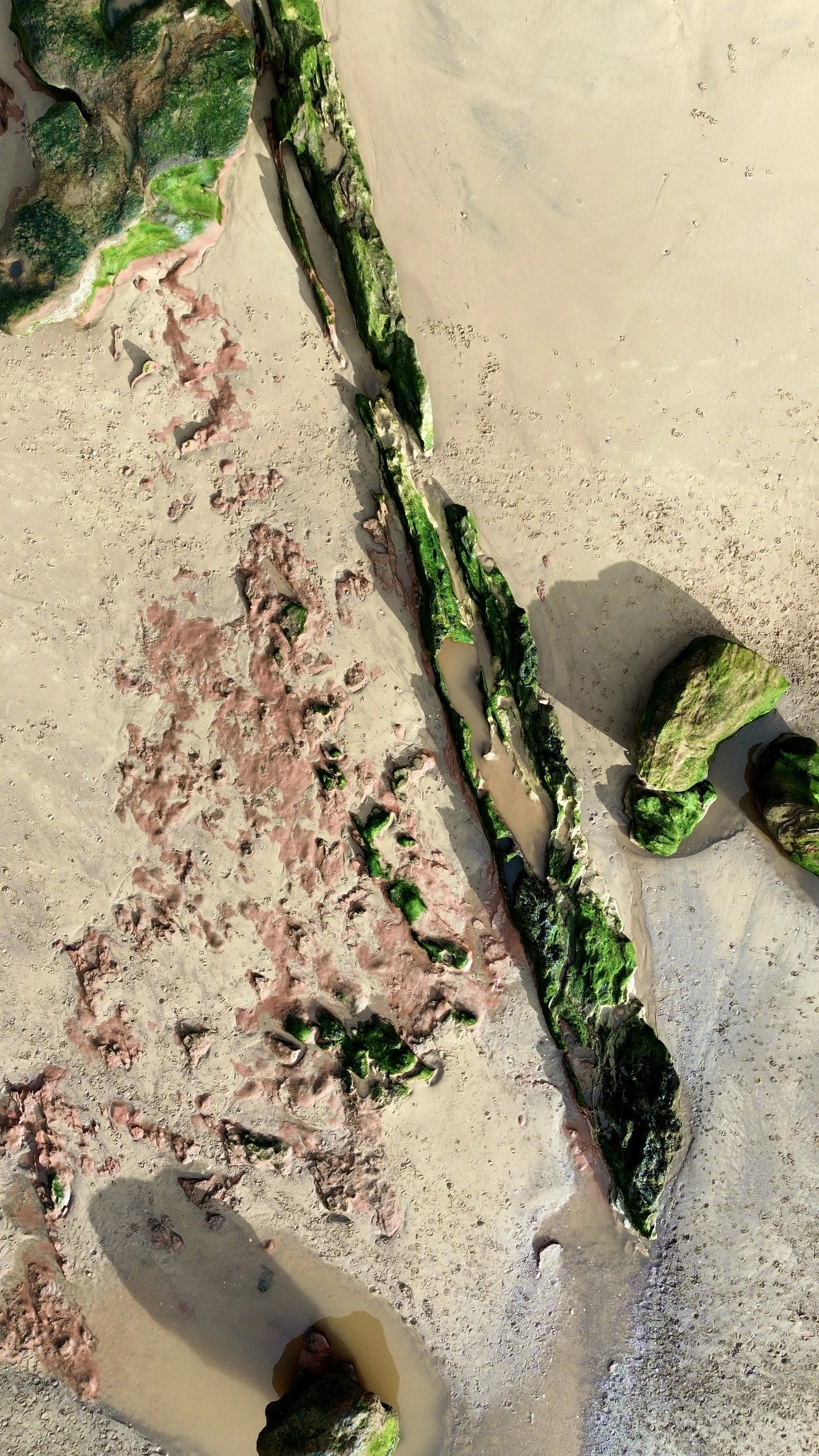 Various pieces of moss-covered rocks arranged on a sandy beach with small pools of water and scattered pinkish stones.