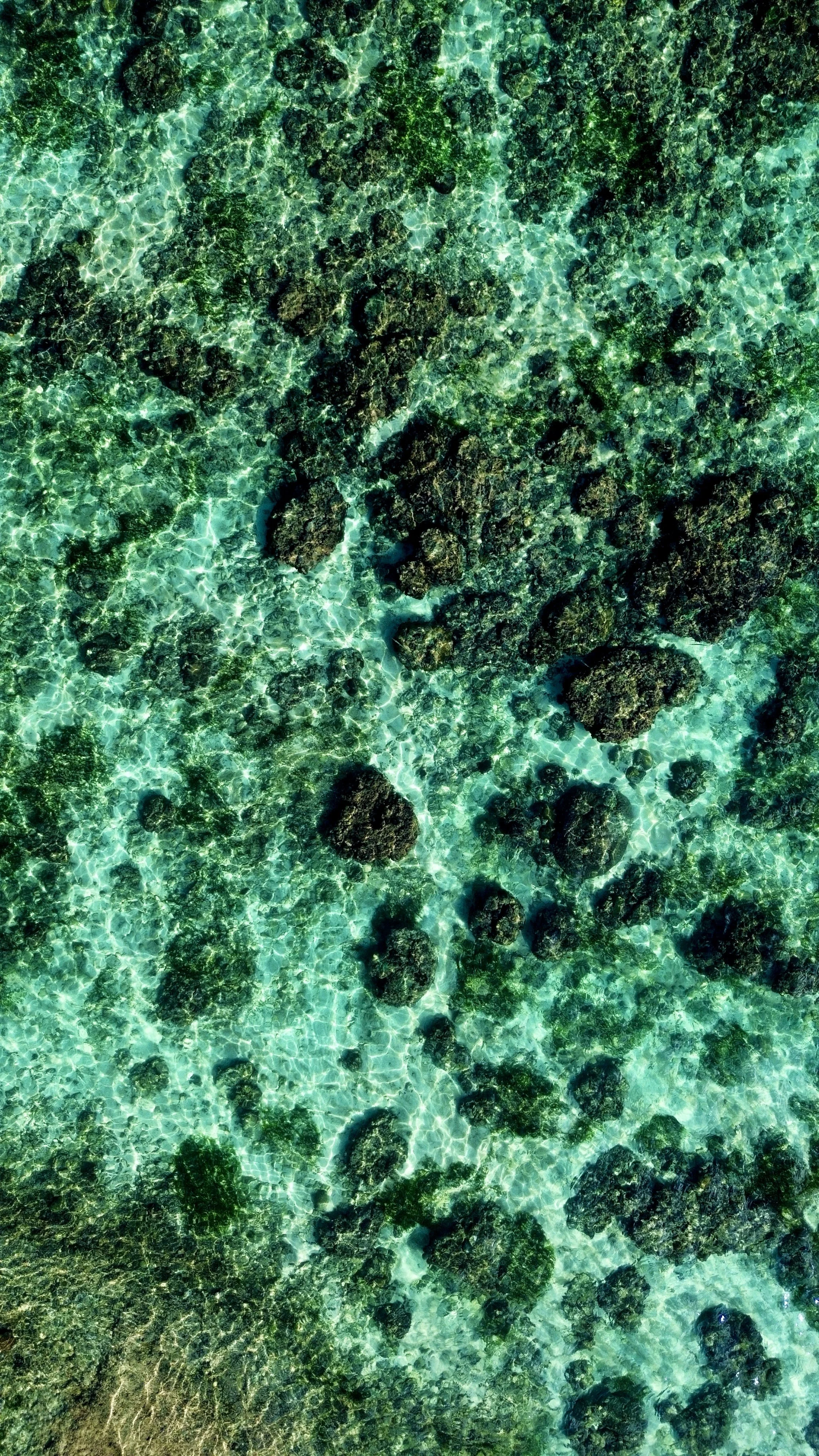 Aerial view of a clear turquoise ocean with scattered dark coral reefs or rocks.