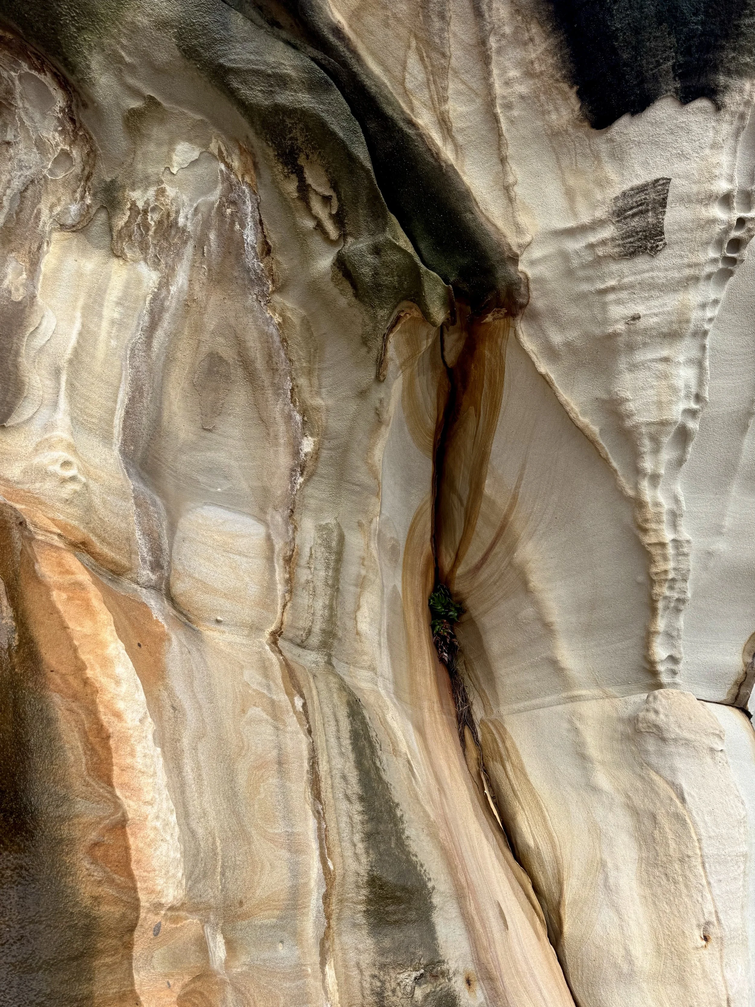A close-up view of a layered sandstone cliff face with various shades of beige, brown, and gray, showing natural textures and striations.