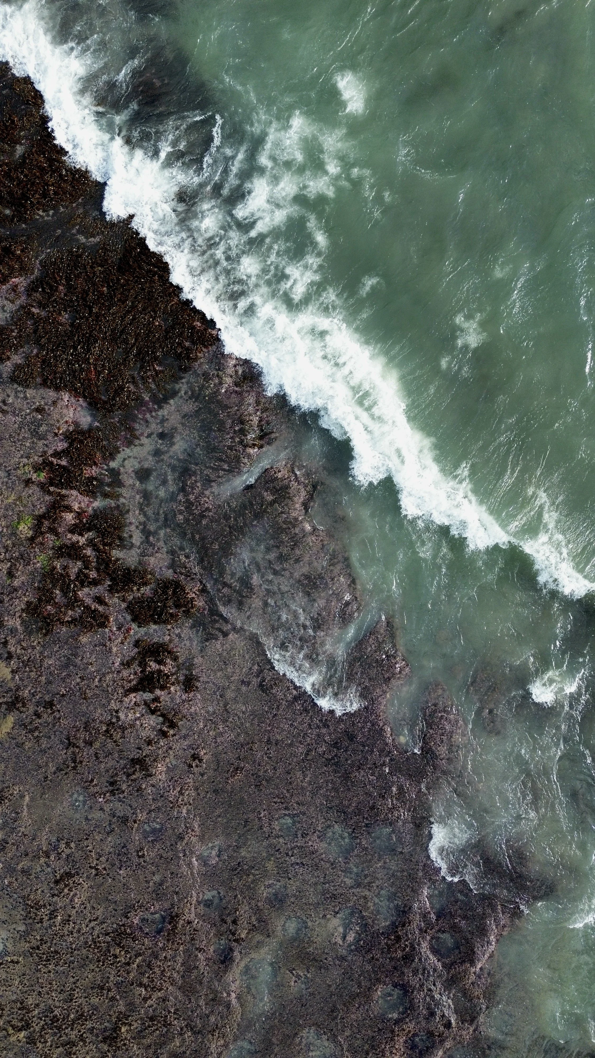 An aerial view of ocean waves crashing against a rocky shoreline covered in dark seaweed.