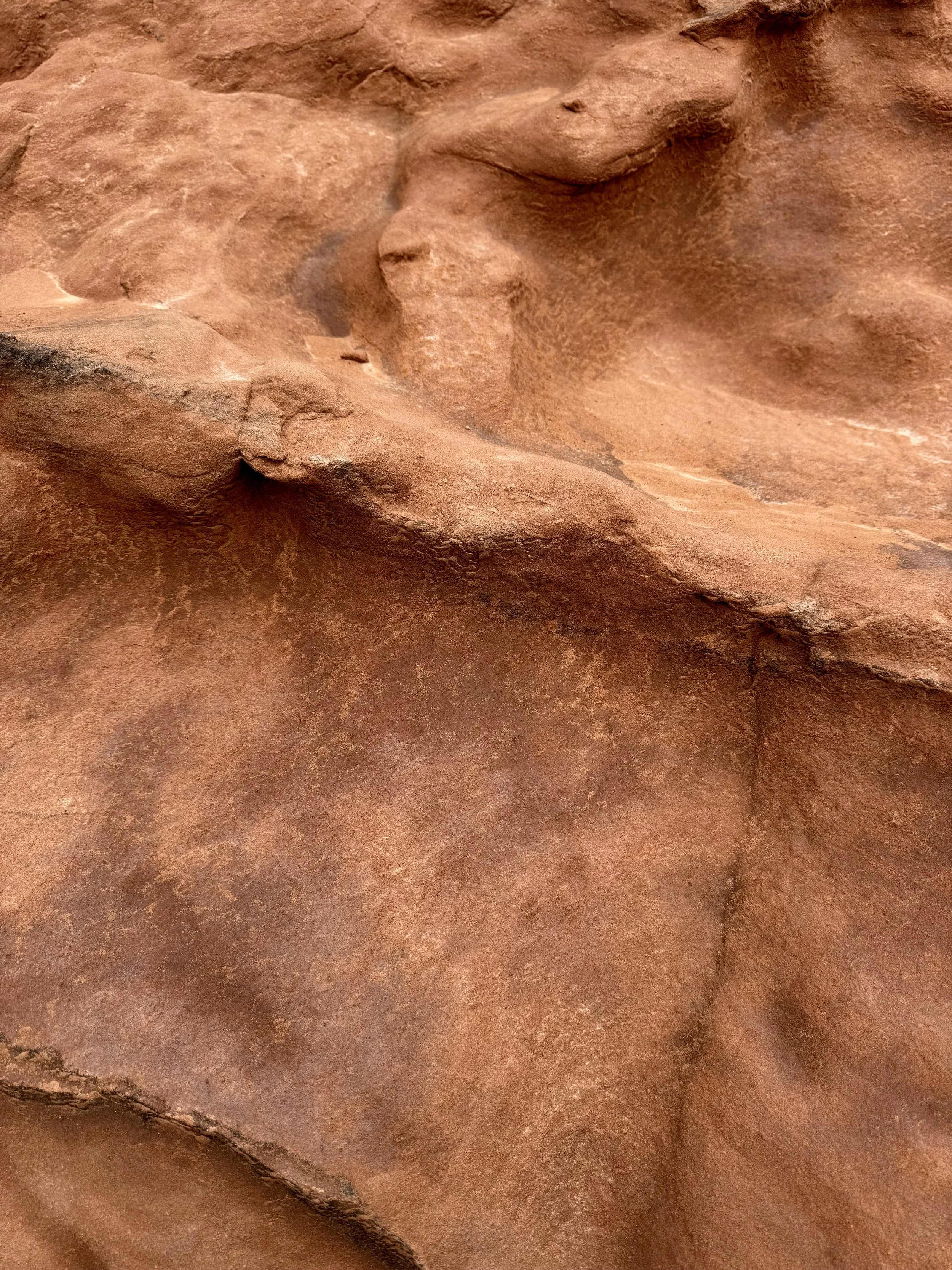 Close-up of red sandstone rocks with a rough texture.