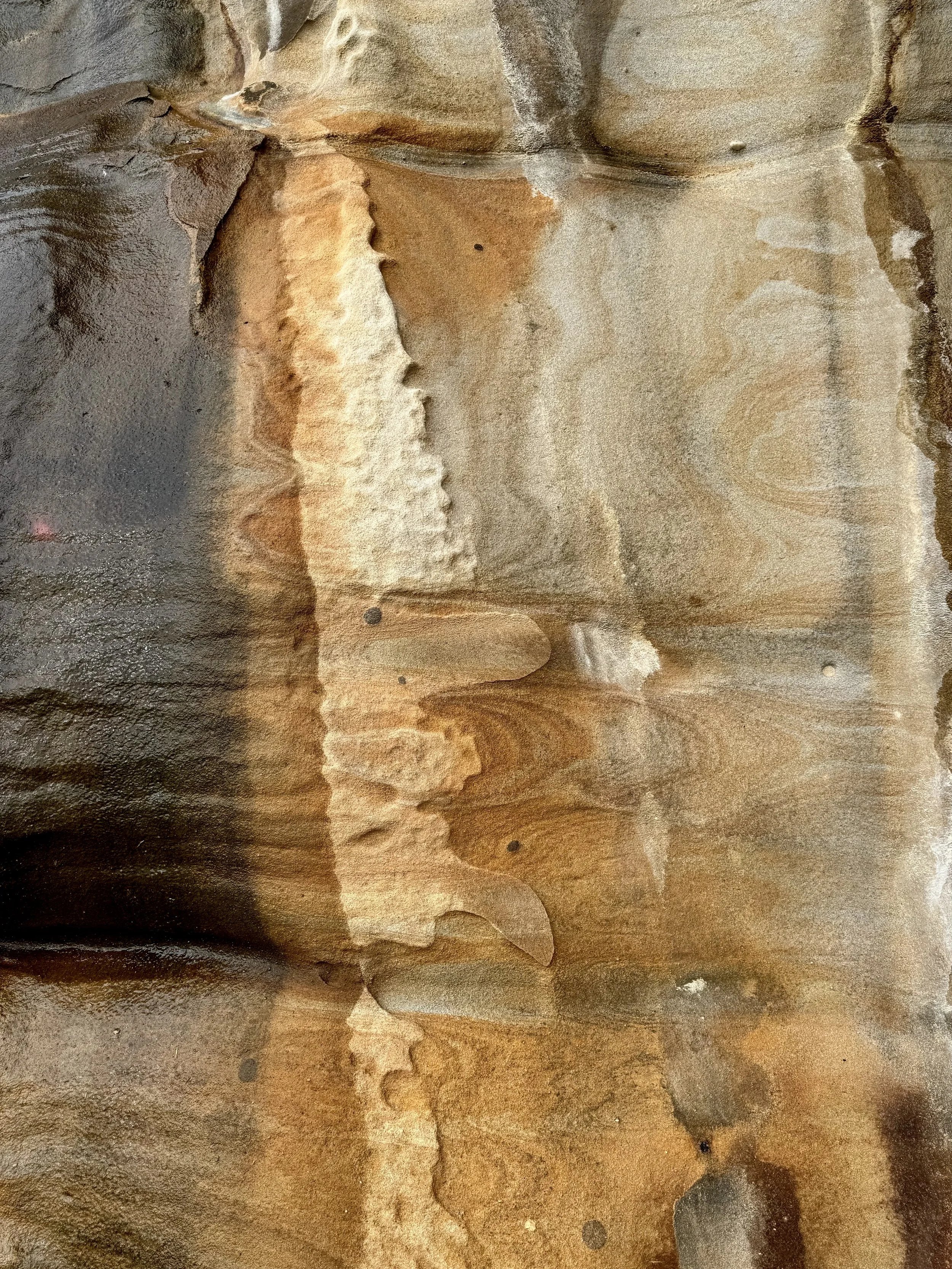 Close-up image of polished brown and beige stone with natural patterns and textures.