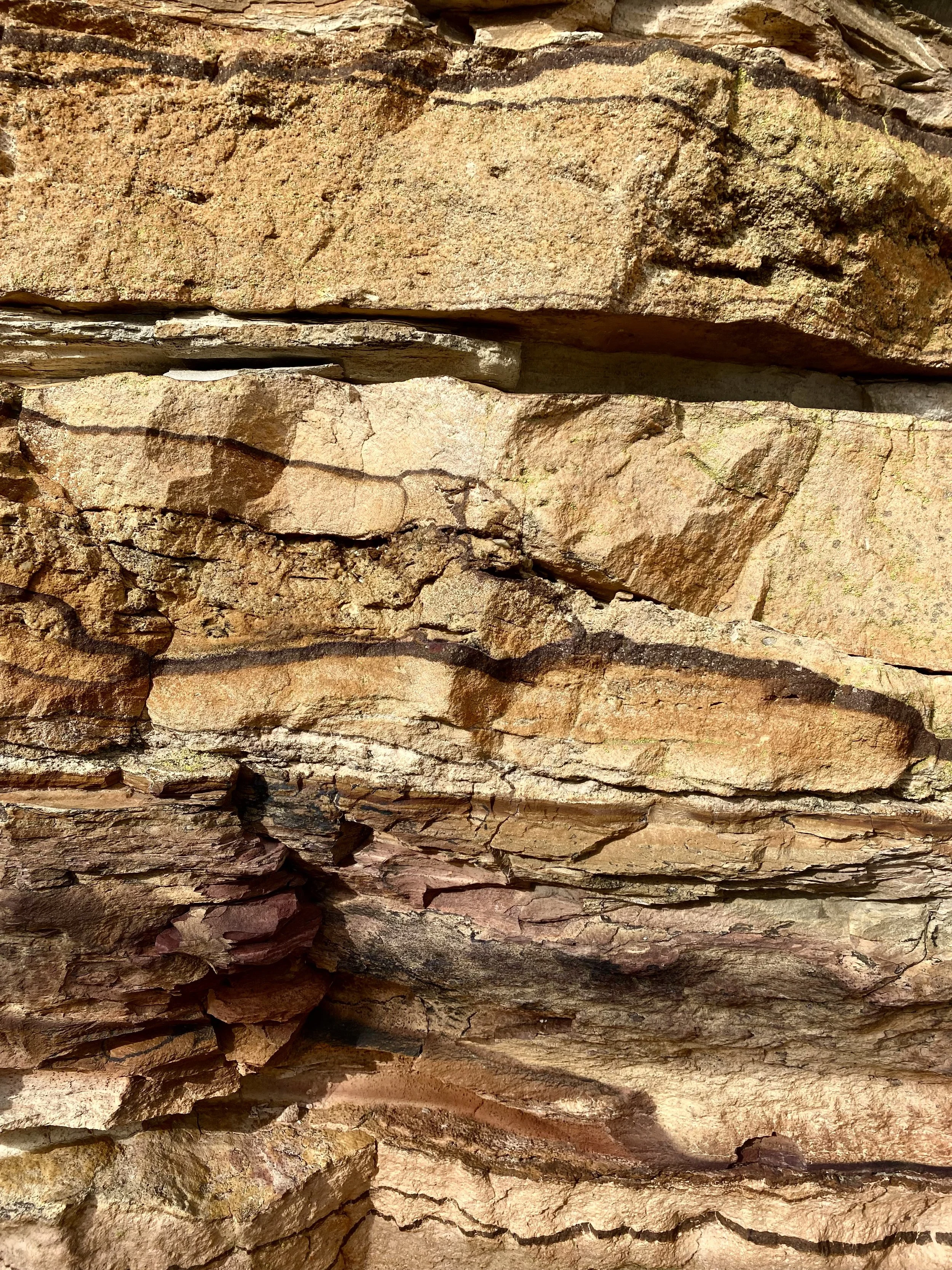 Close-up of layered, weathered rock formations with shades of brown, tan, and reddish hues and various textures and cracks.