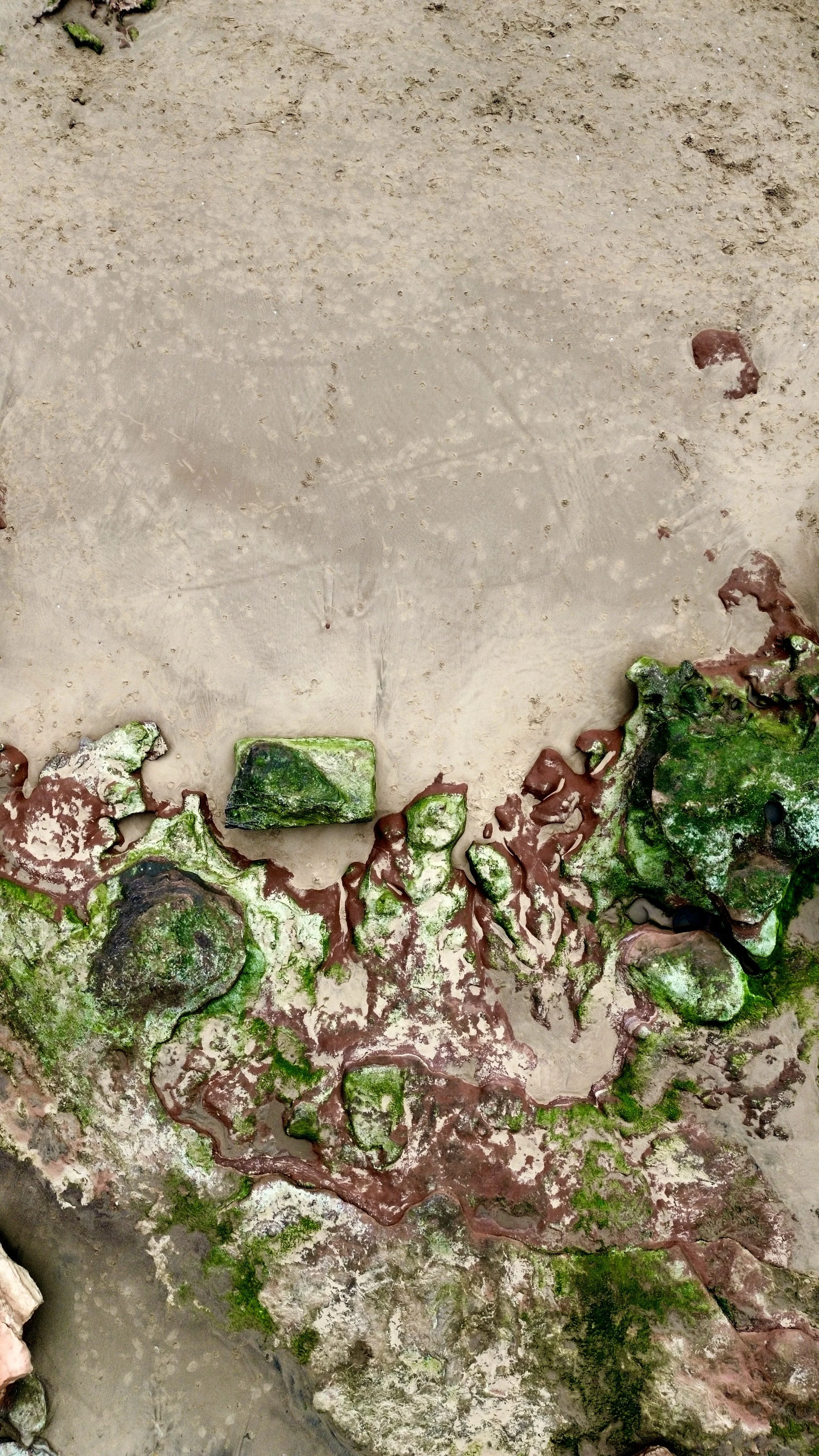 Close-up of rocks with green moss and red clay on a sandy surface.