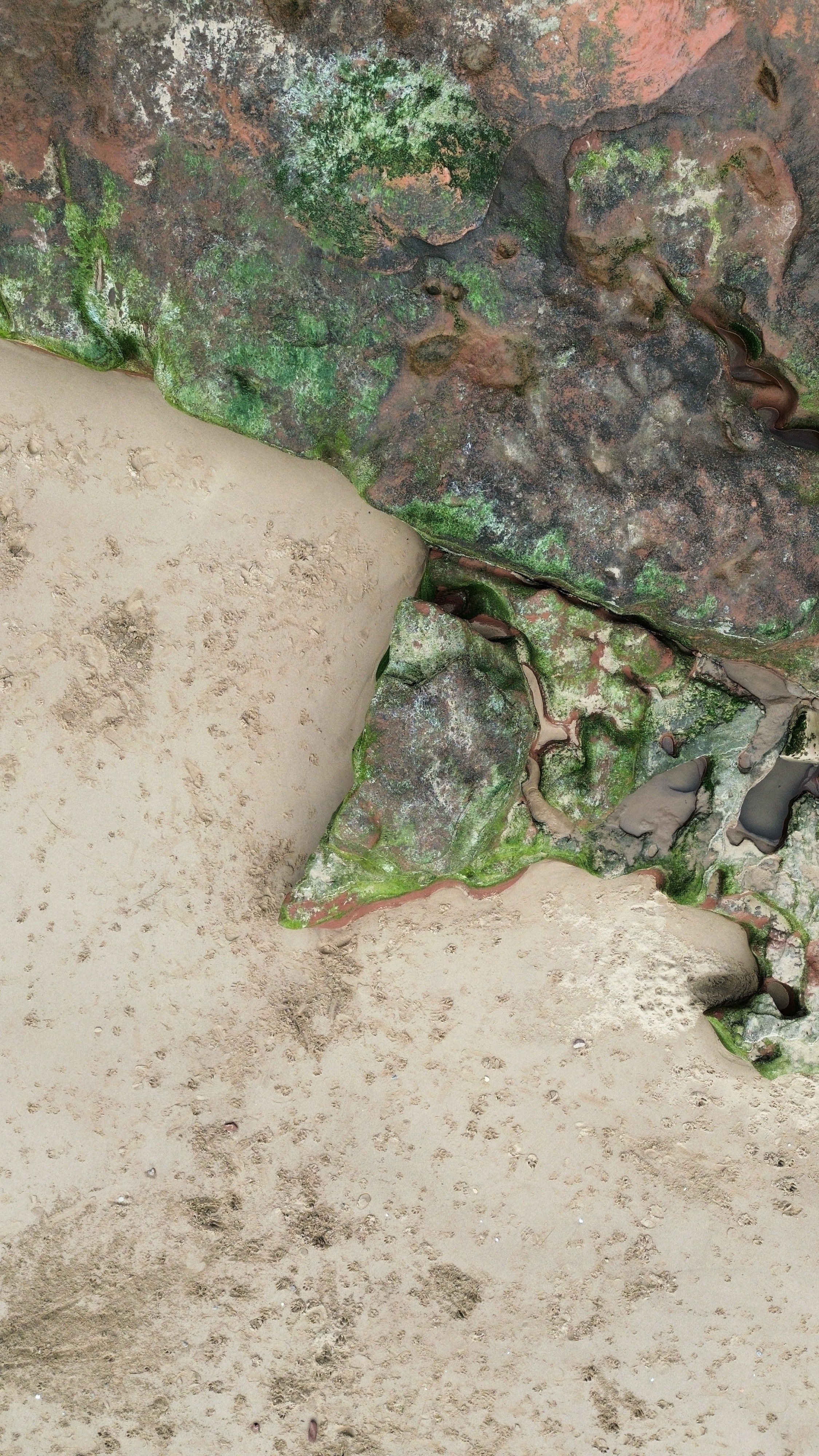 A close-up photograph of a large, moss-covered rock with weathered patterns and a sandy ground with footprints.