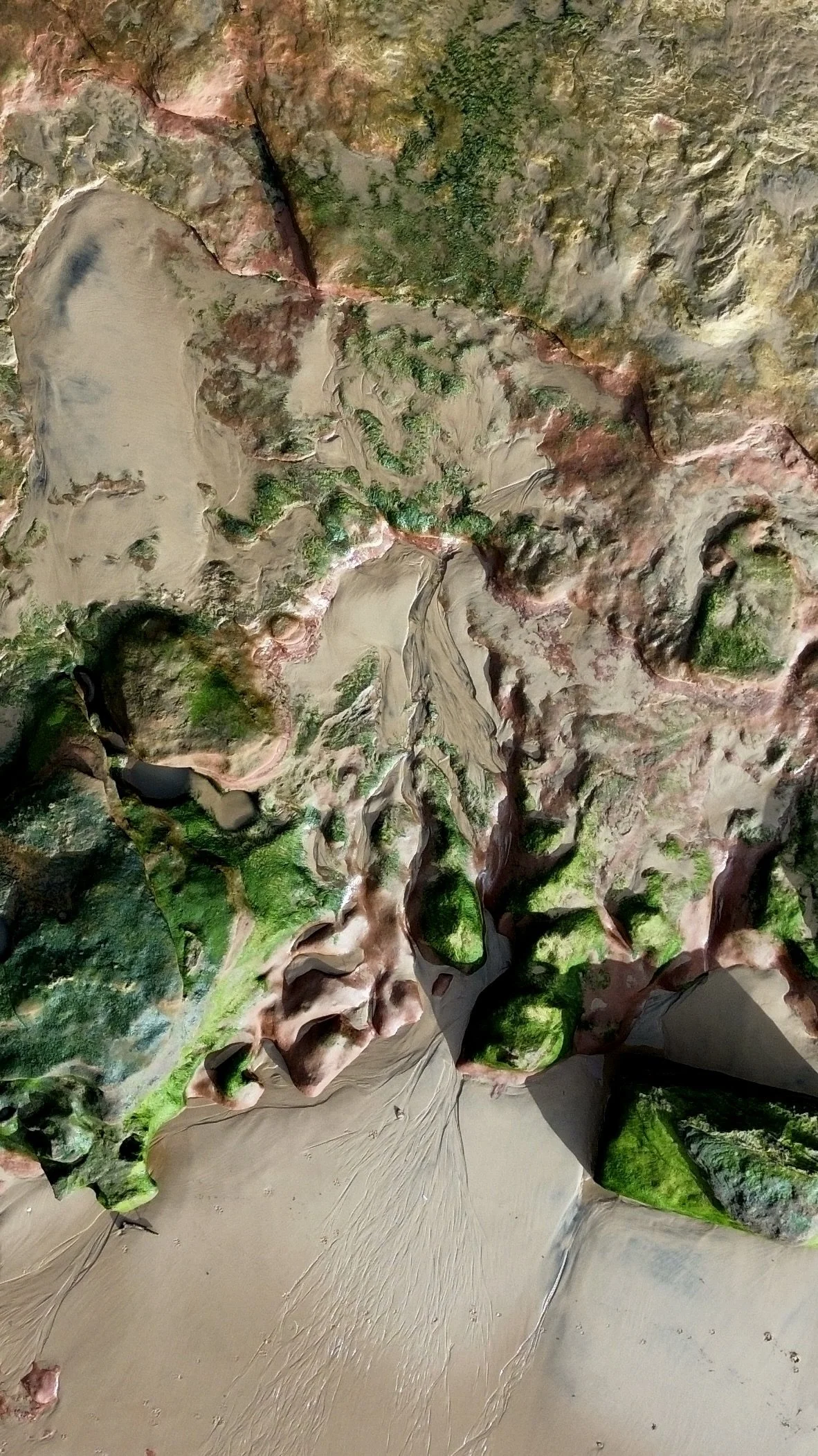 Aerial view of colorful canyon with green vegetation, reddish rock formations, and sand-filled riverbeds.