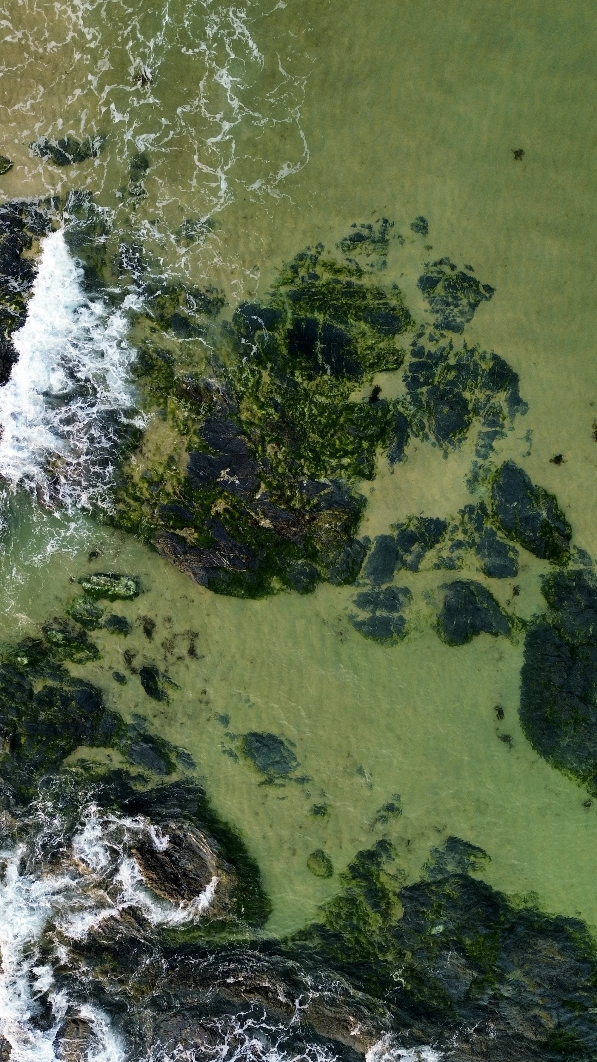Aerial view of a rocky shoreline with waves crashing against rocks and green algae-covered stones, and a sandy beach with tidal pools.