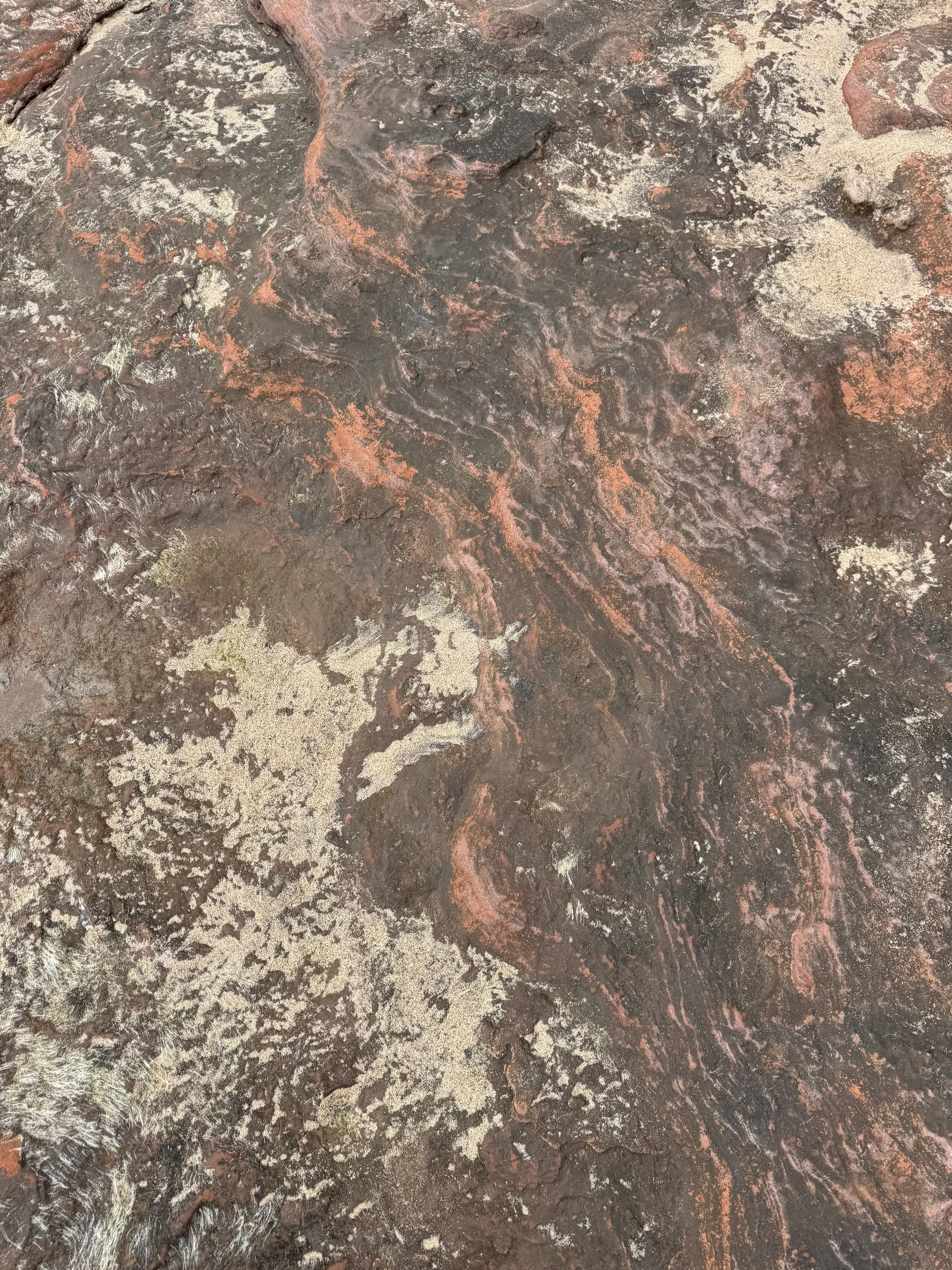Close-up photo of a textured rock surface with dark brown, reddish, and beige patterns