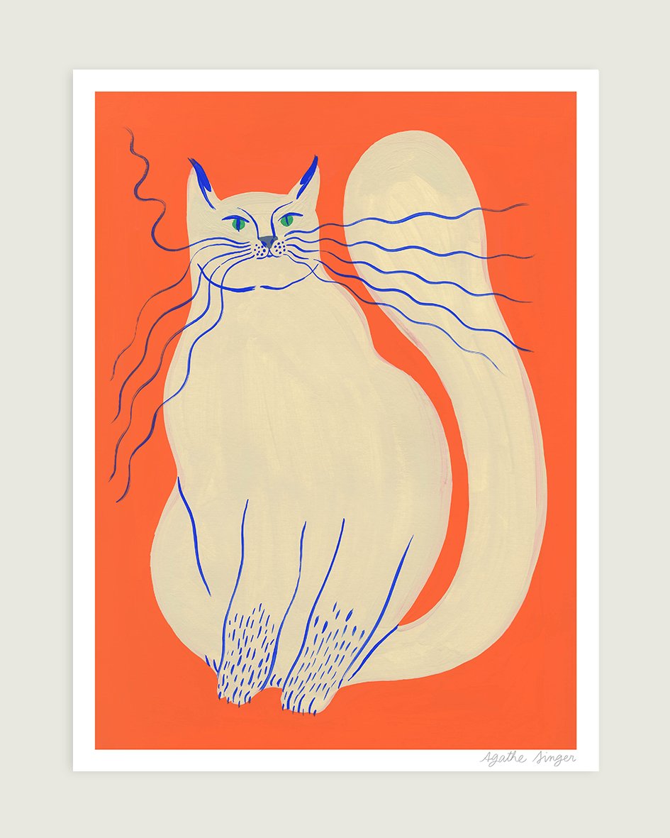 Chat beige sur fond orange