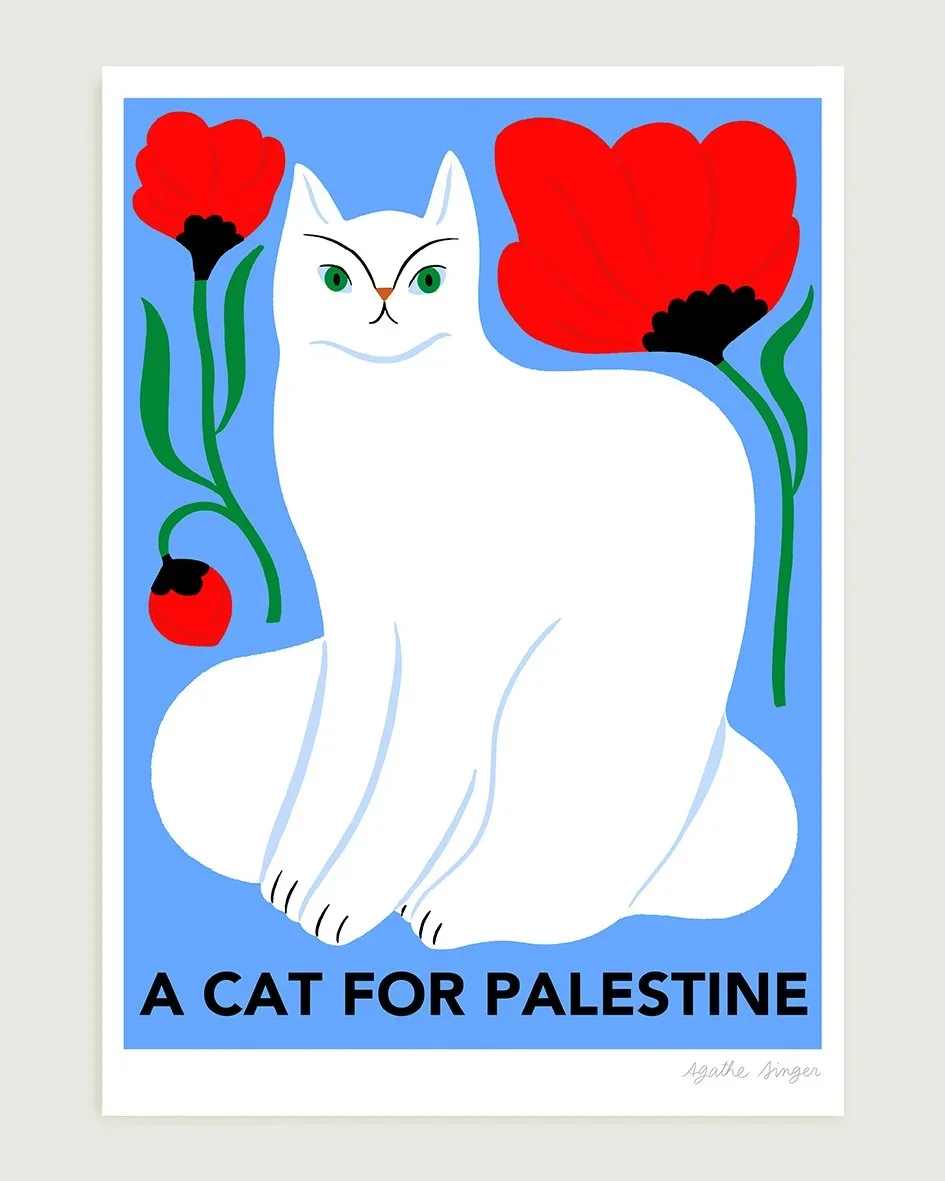 apercu_cat_palestine_01_INSTA.webp