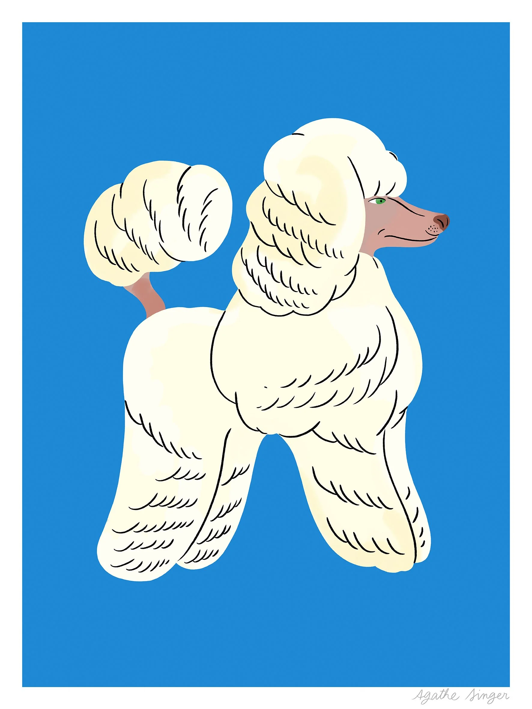 24x32"_dog_caniche.jpg