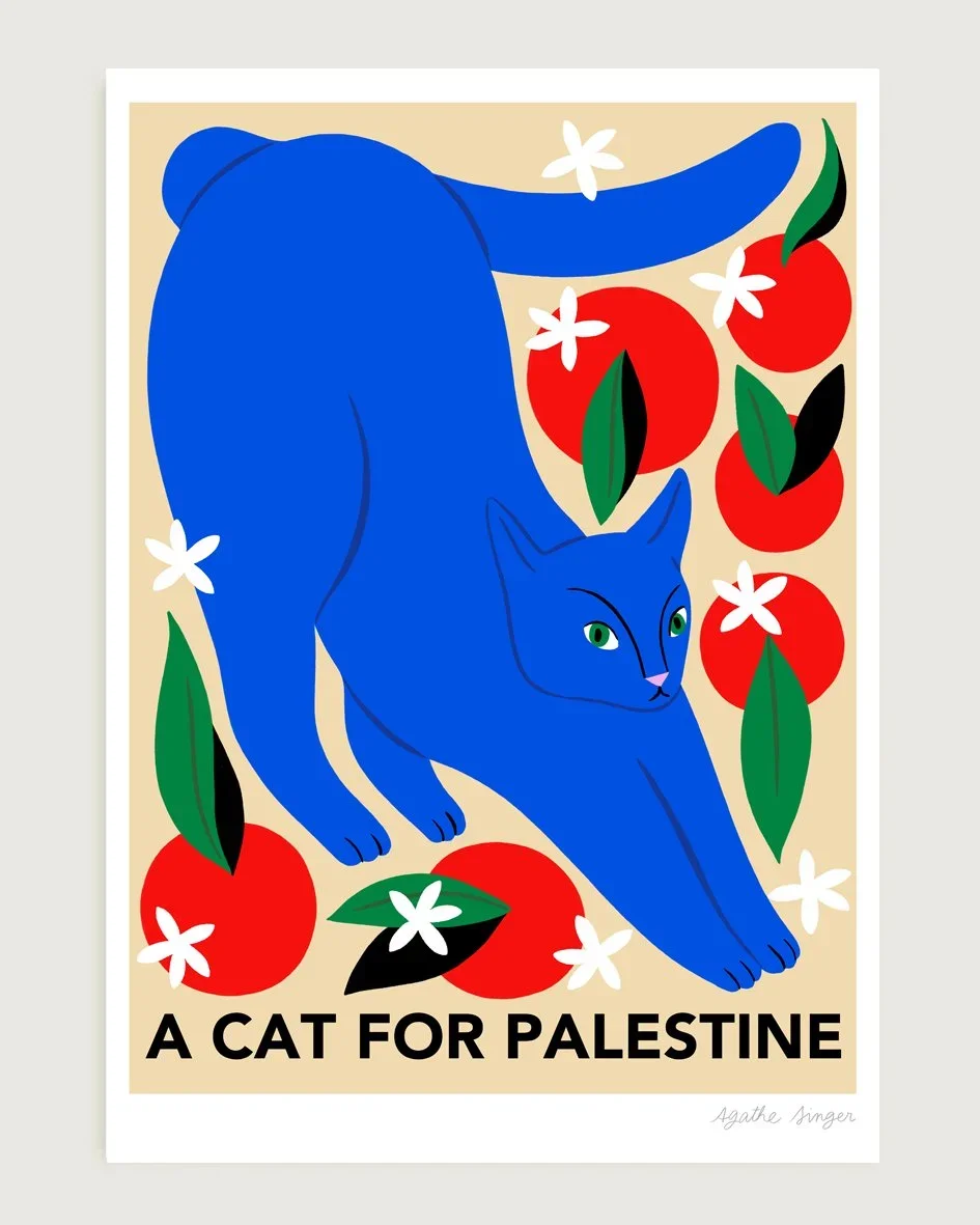 apercu_cat_palestine_04_INSTA.webp