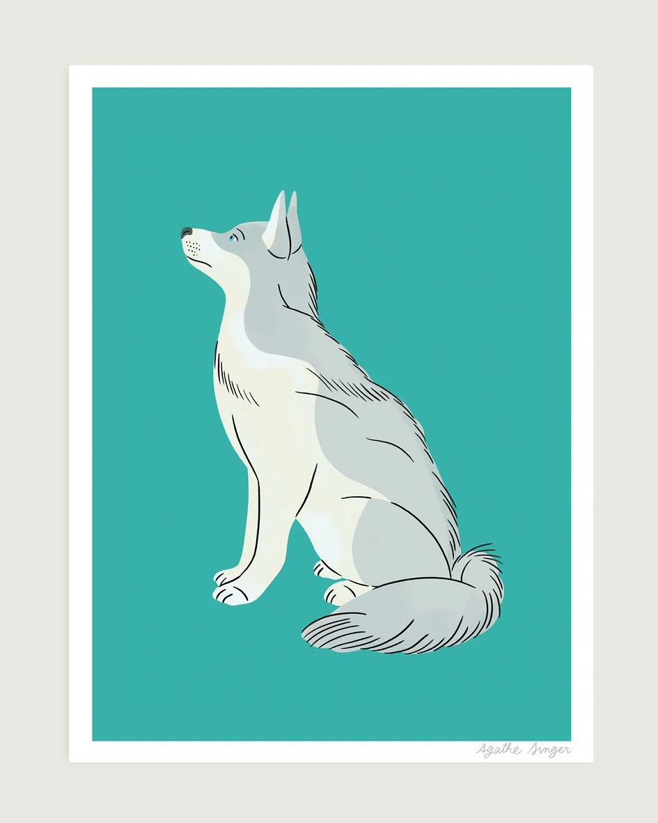 Siberian Husky