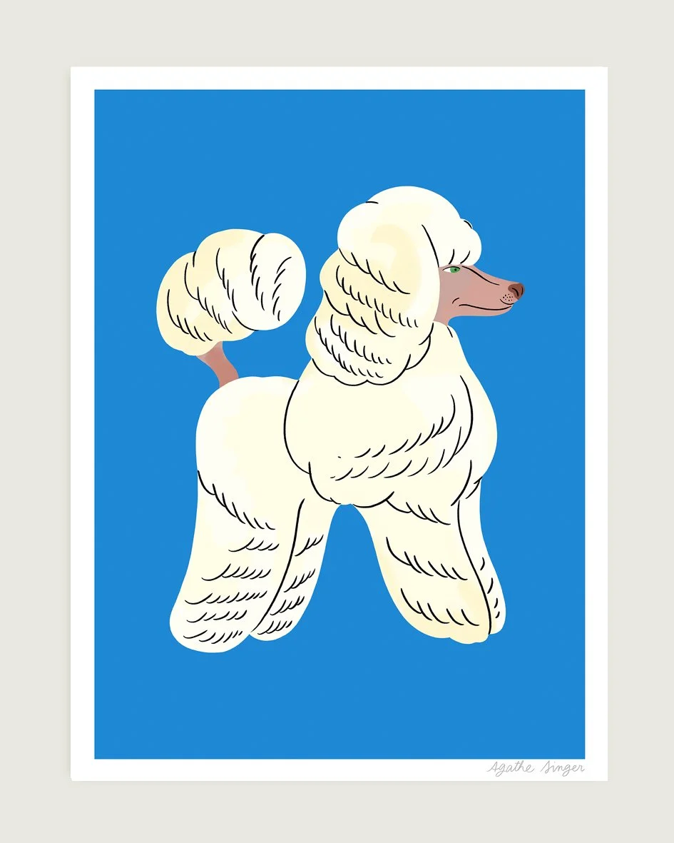 24x32"_dog_canicheb.jpg